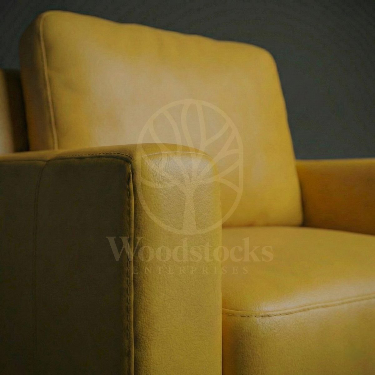 Luxury Teak Tribeca Loft Modernist Leather Lounge Sofa, Saharanpur, view 3