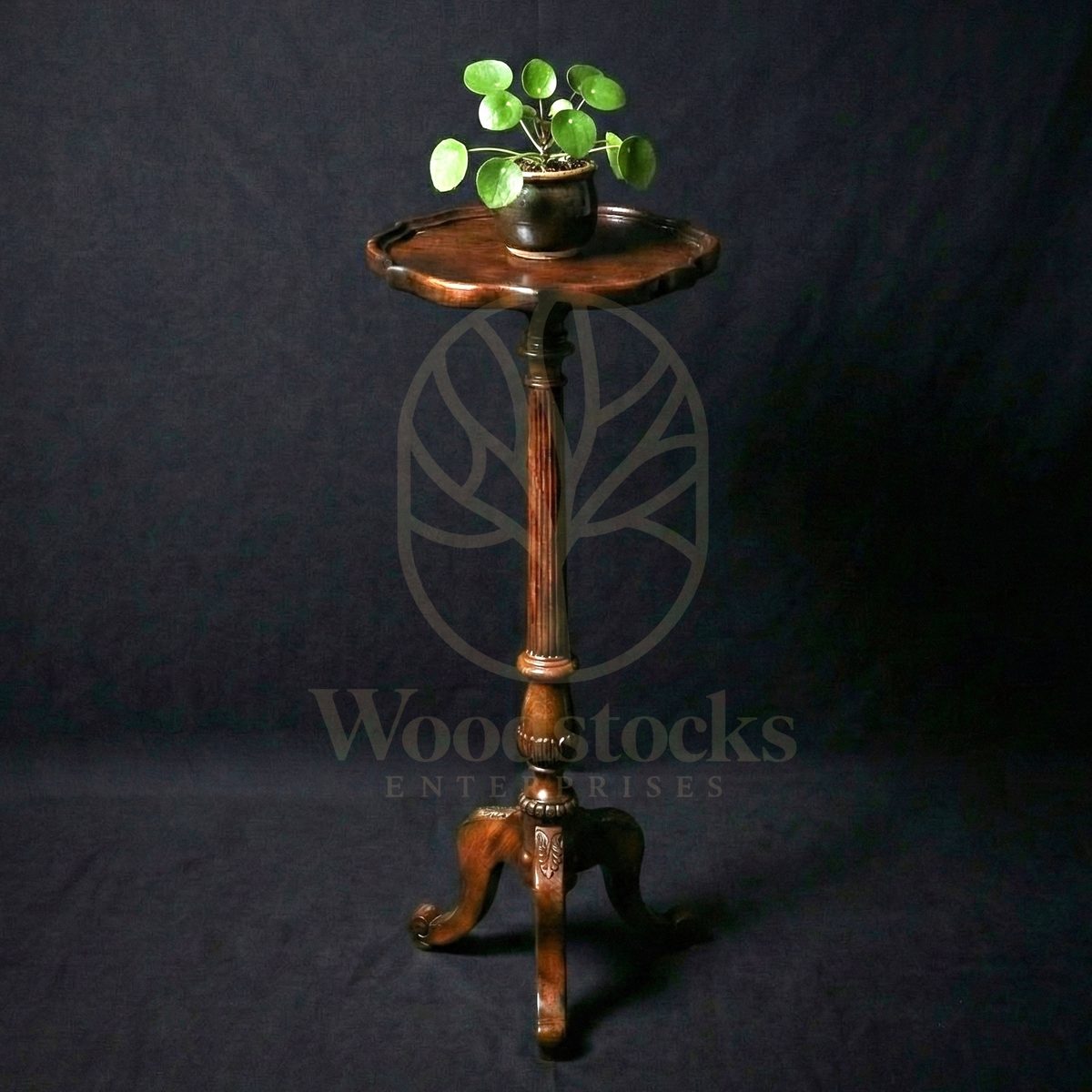 Luxury Teak Chatsworth Pedestal Plant Stand, Saharanpur, End Table / Corner Table
