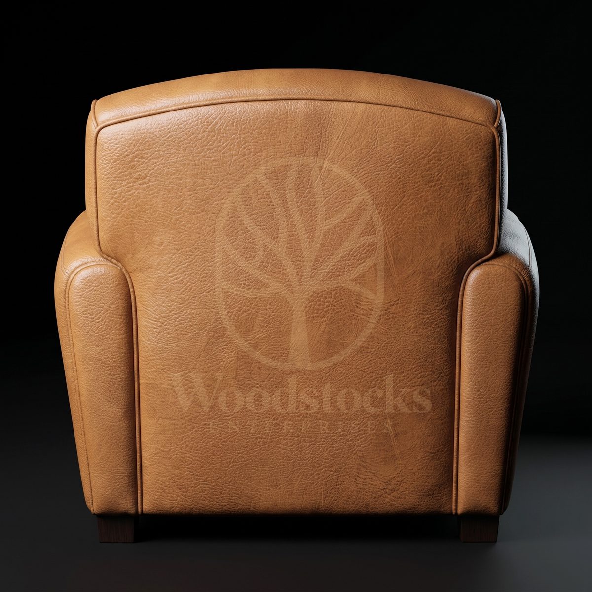 Luxury Teak Montparnasse Art Deco Leather Club Chair, Saharanpur, view 3