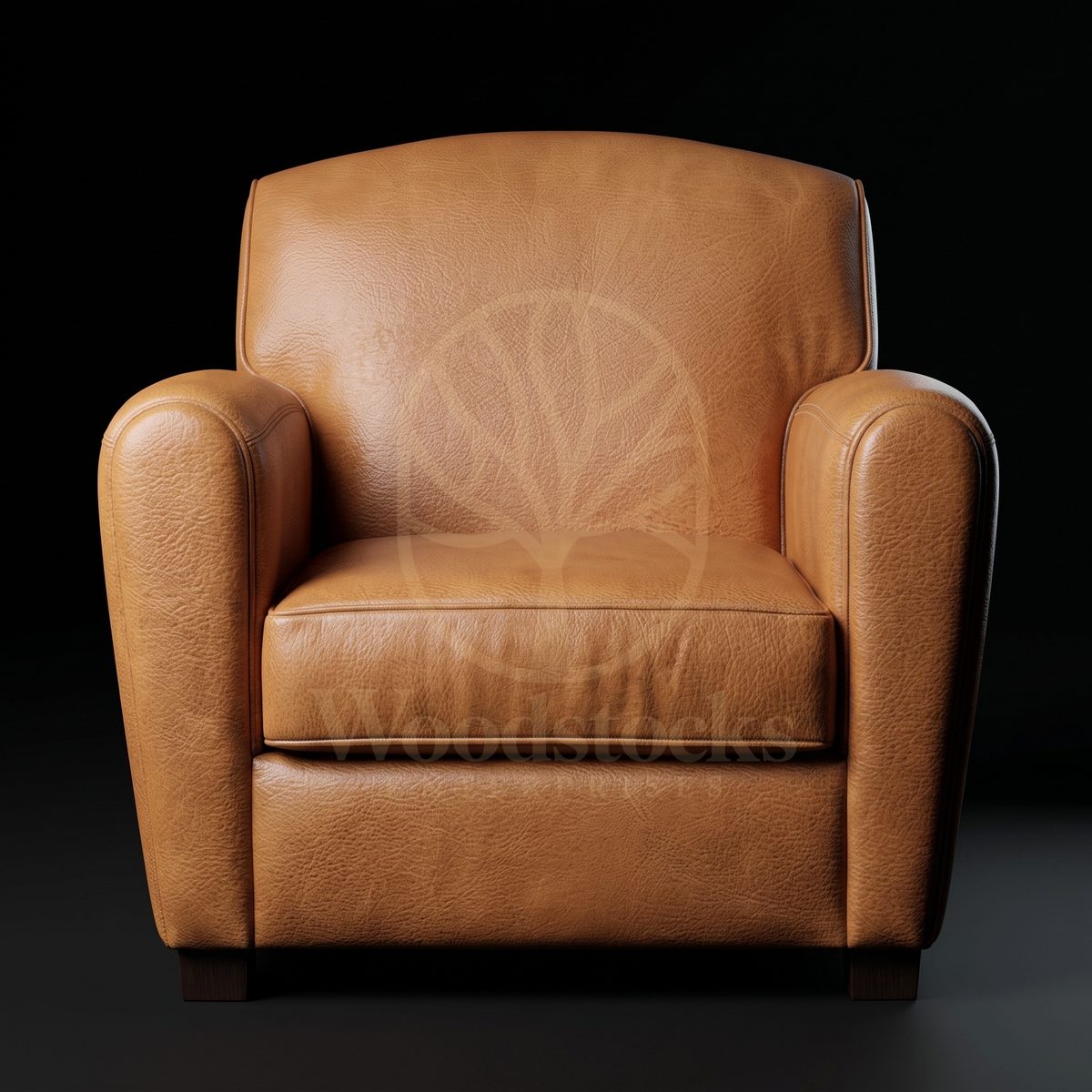 Luxury Teak Montparnasse Art Deco Leather Club Chair, Saharanpur, view 2