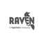 Raven Tools – SEO Reporting & Multi-Channel Marketing Dashboard