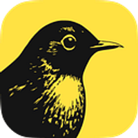 Revealbot – AI Campaign Optimization Platform