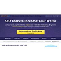 cognitiveSEO – Backlink Analysis, Rank Tracking & Content Optimization Tool