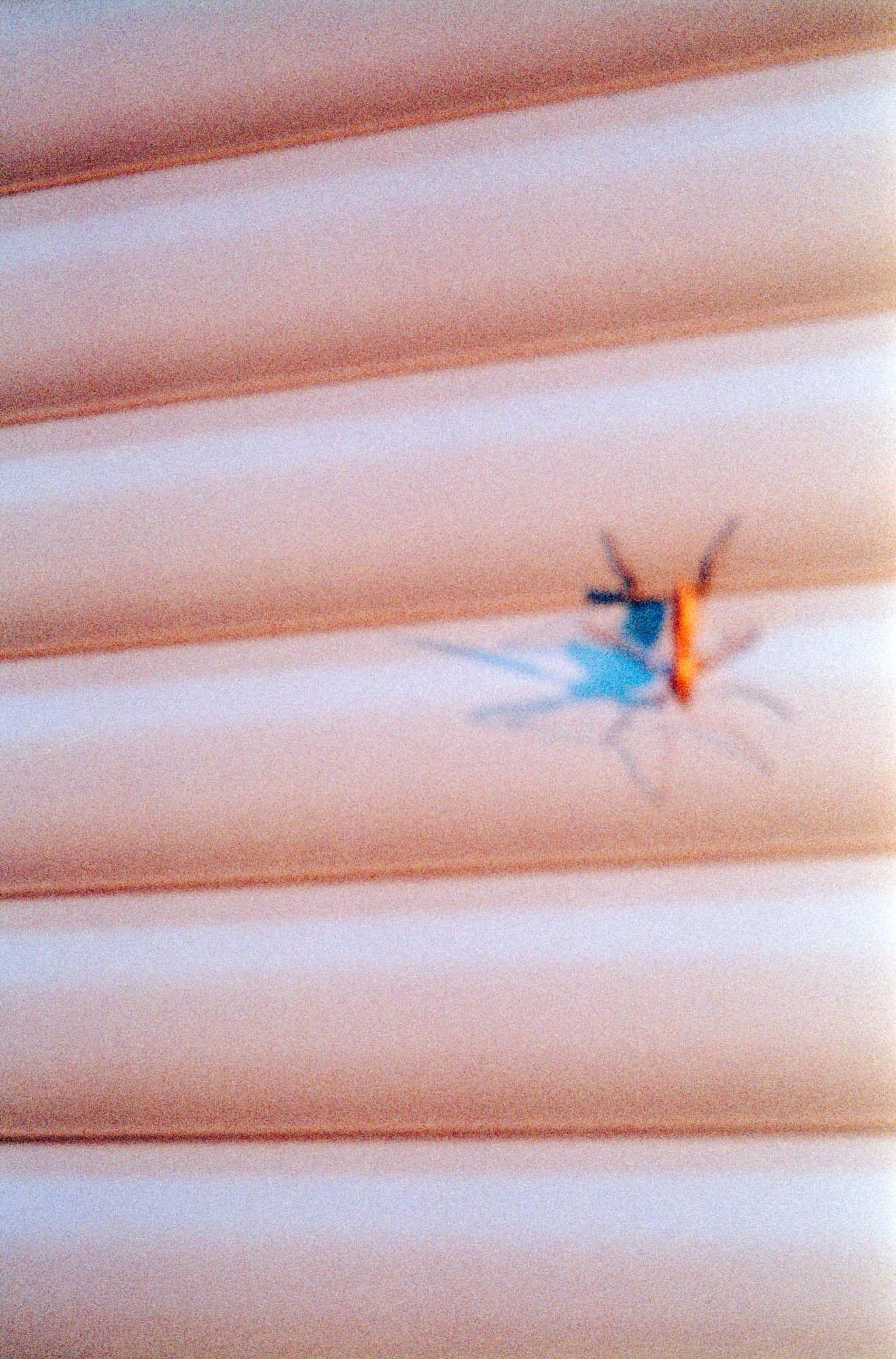sterre arentsen analog fly away 