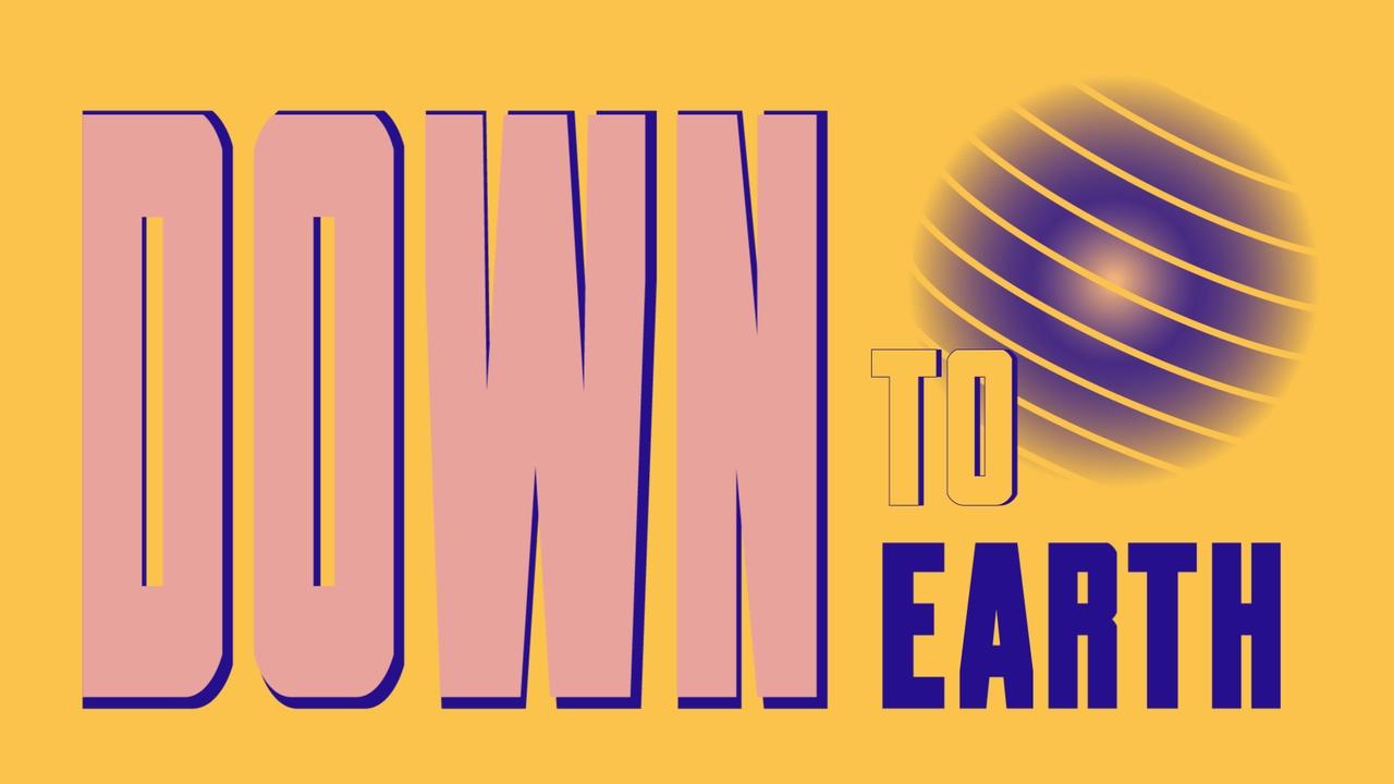 animated pitch | Carolina Bradilli