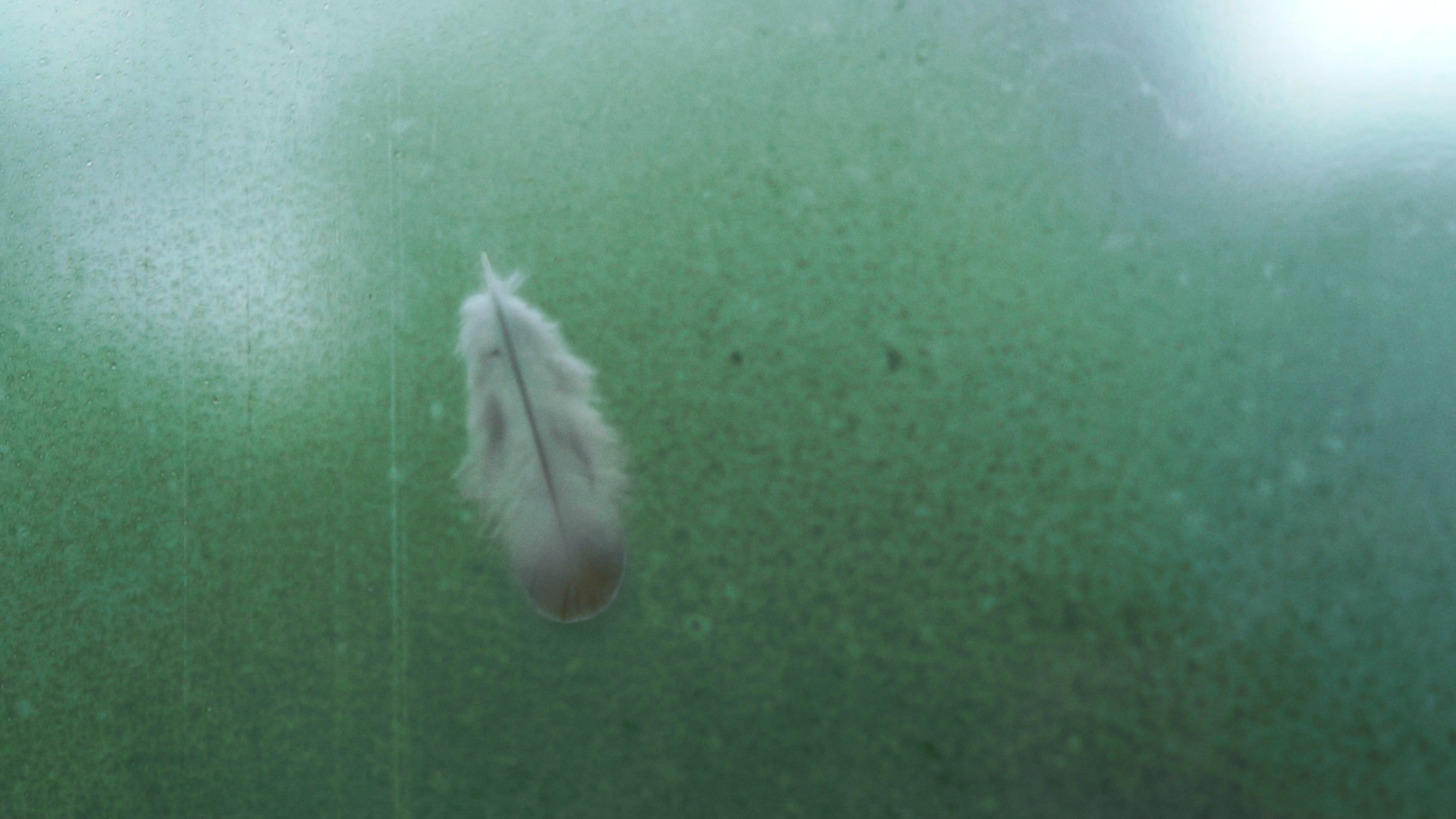 me avisa que chegou bem em casa