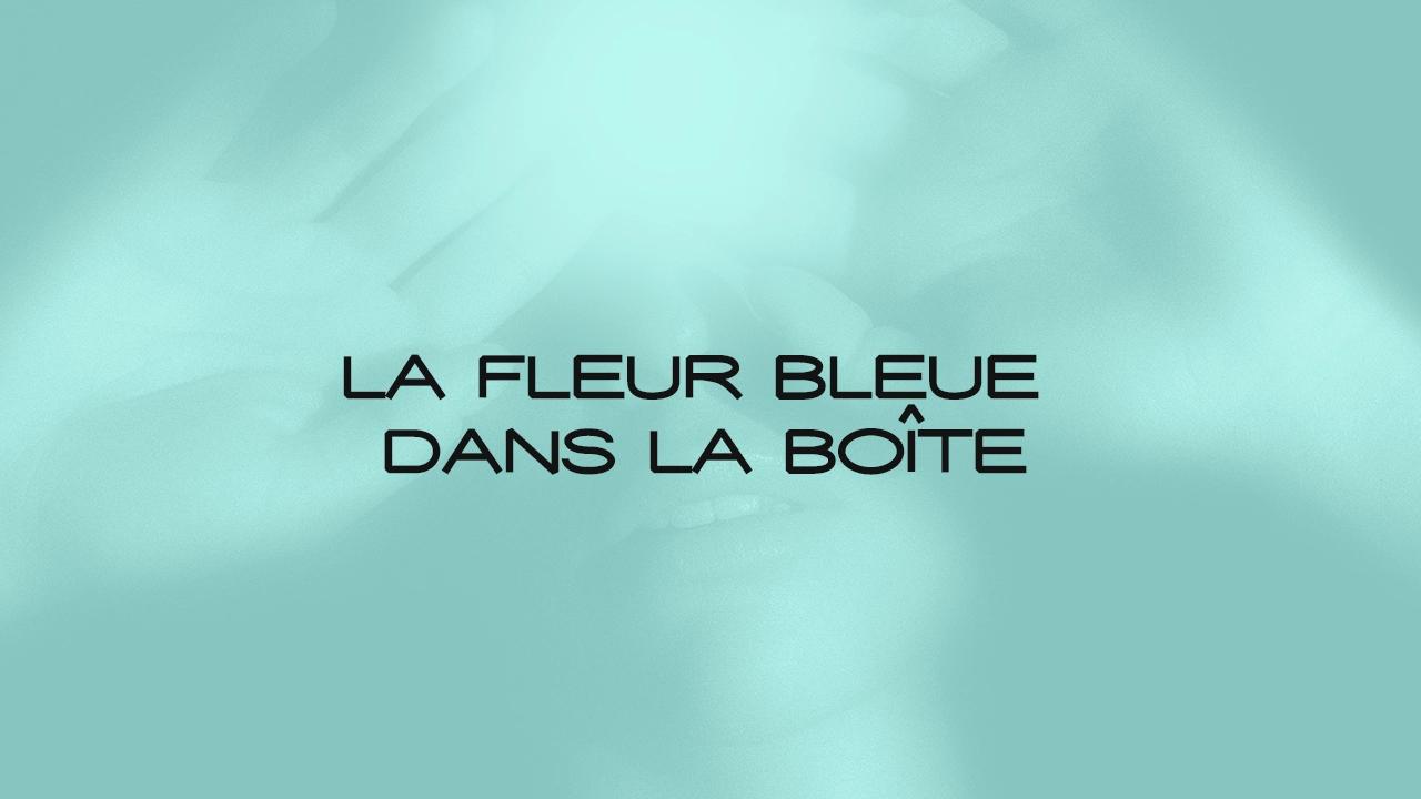 La Fleur Bleue
