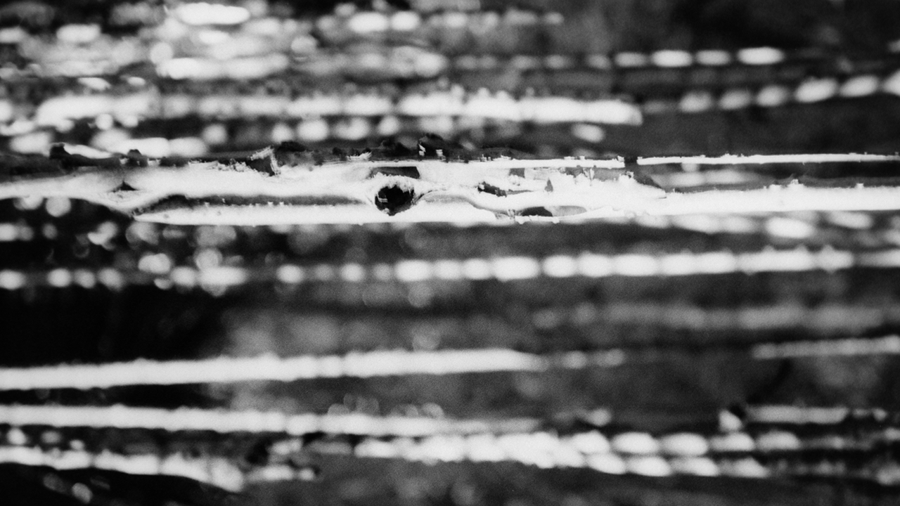 unwilling subtilities