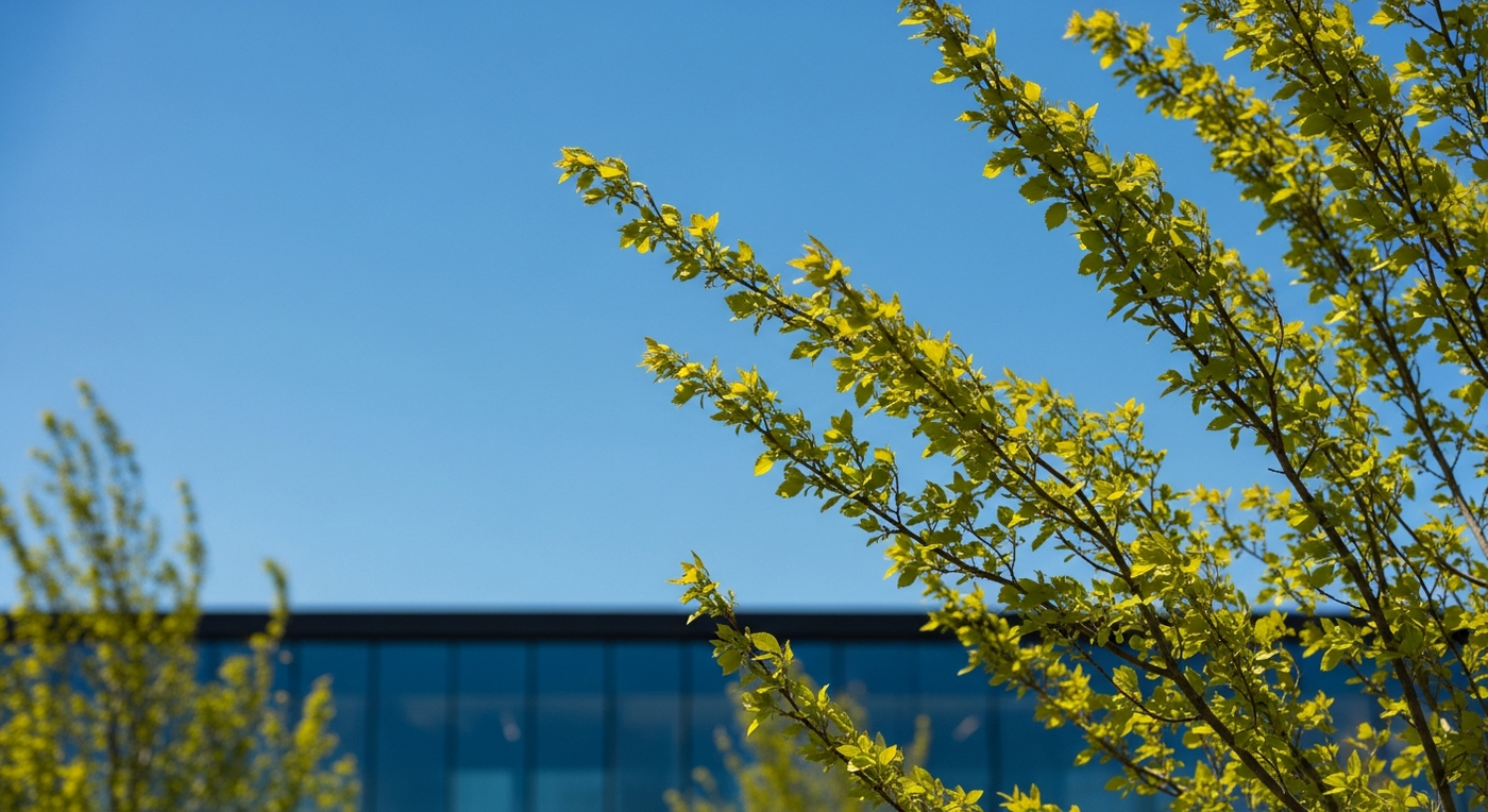Frühlingshimmel mit Blättern vor moderner Bürolandschaft