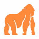 icon of STEL Order icon of STEL Order