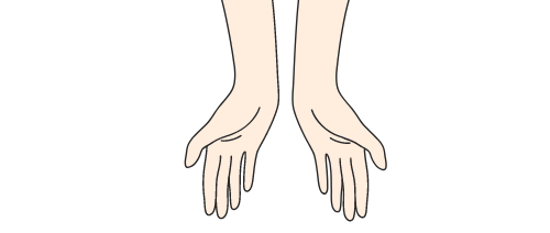 Hands