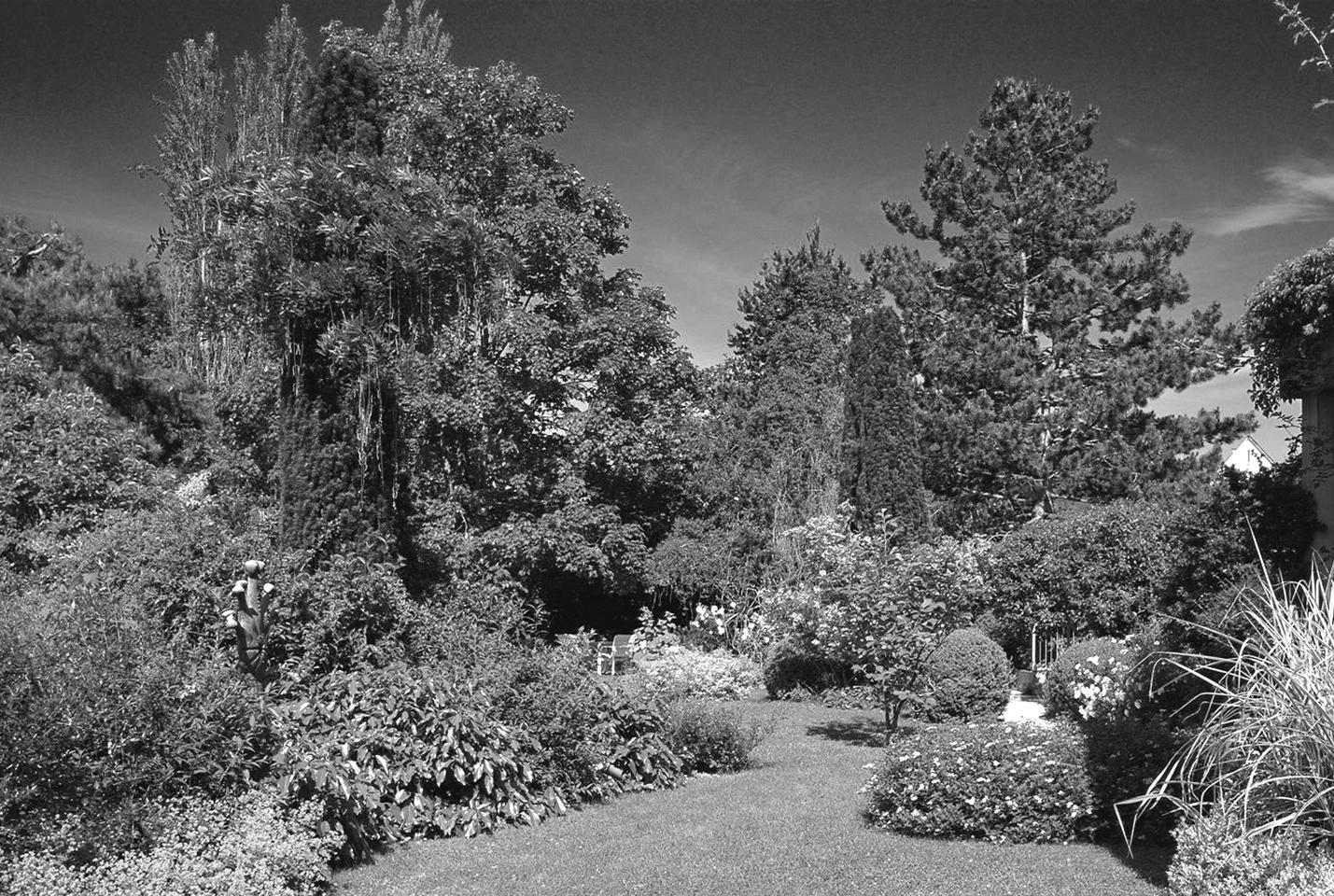 Auf einer Schwaz-Weiss-Fotografie ist ein angelegter, üppig bewachsener Garten abgebildet.