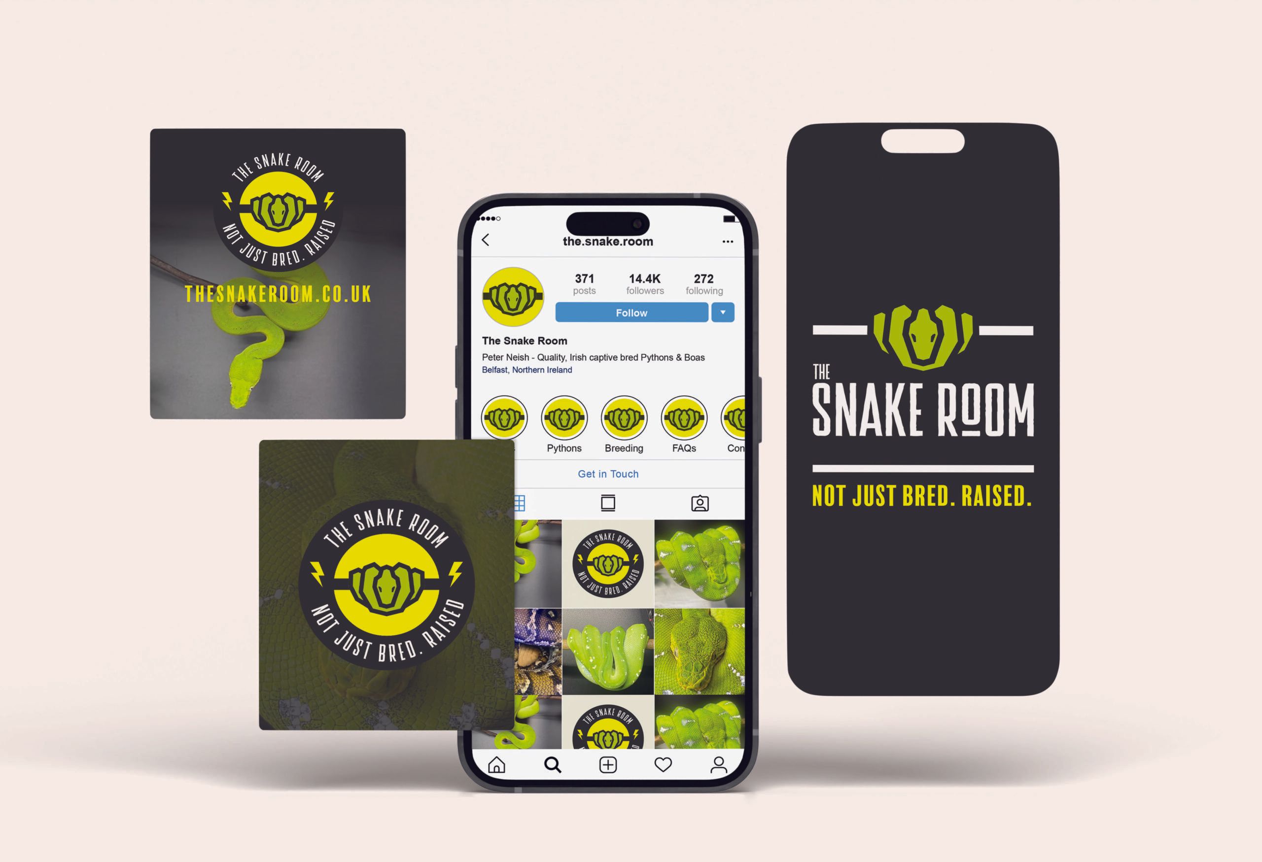 The Snake Room mockup 1