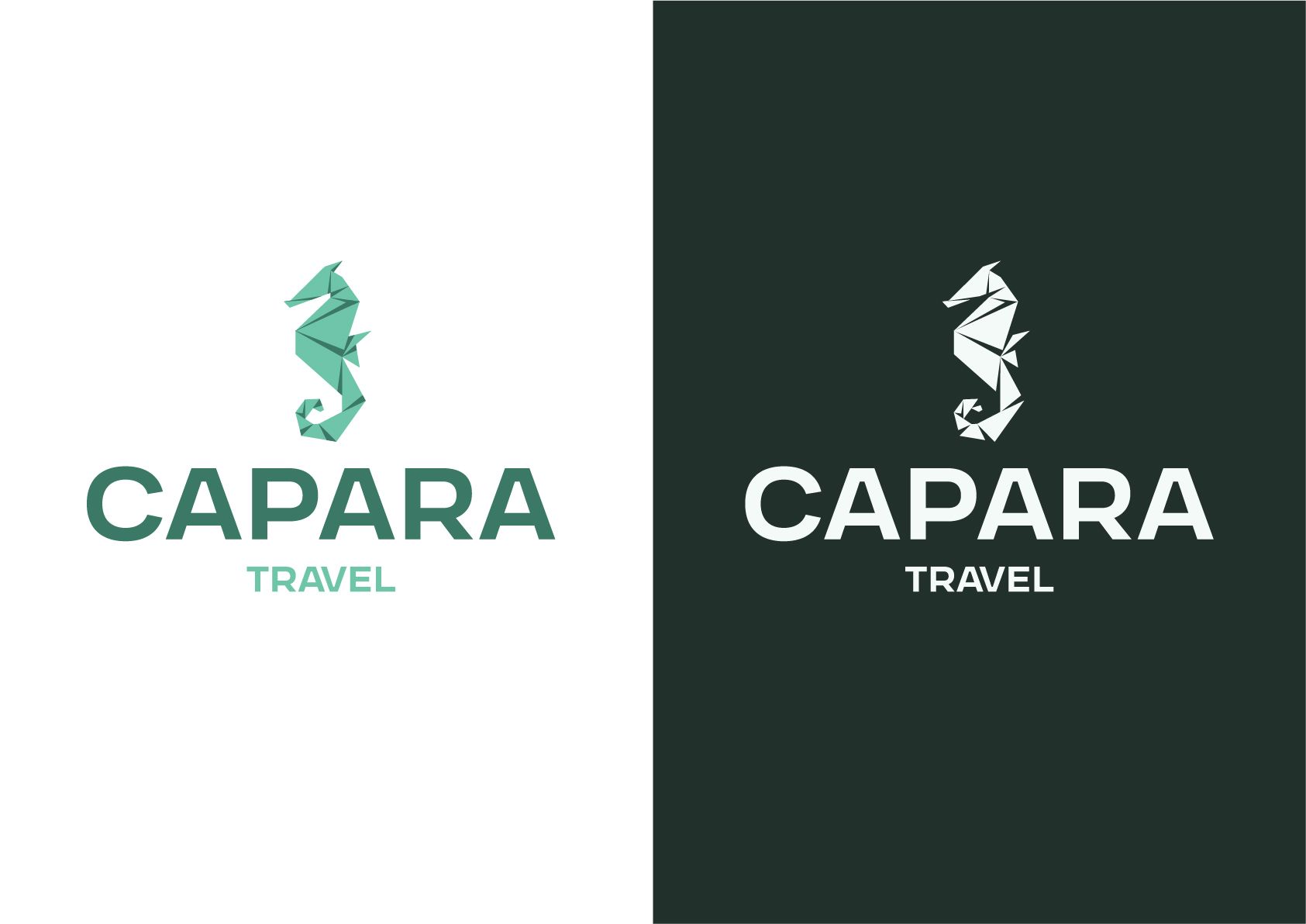 Capara Travel mockup 6