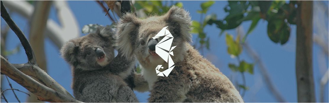 Capara Travel mockup 4