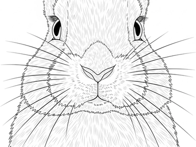 55 Free Rabbit Coloring Pages (Print & Download)