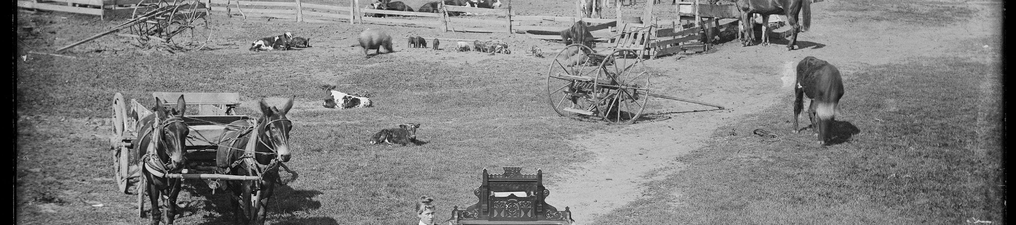 Westward Expansion