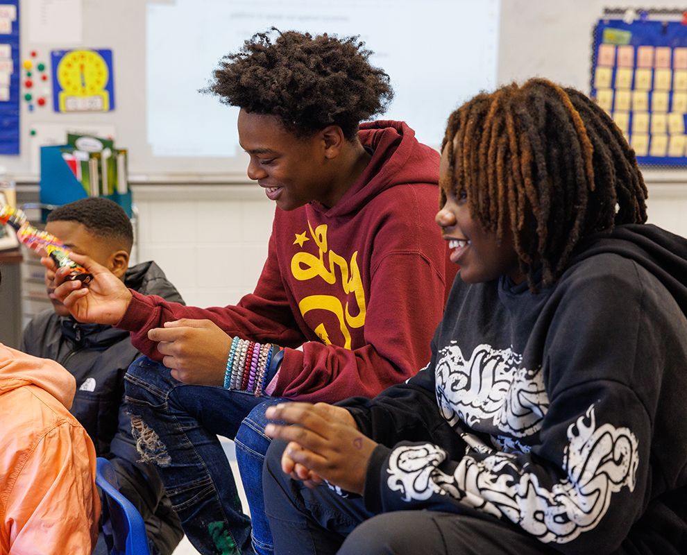 Harmony Advisory Program
