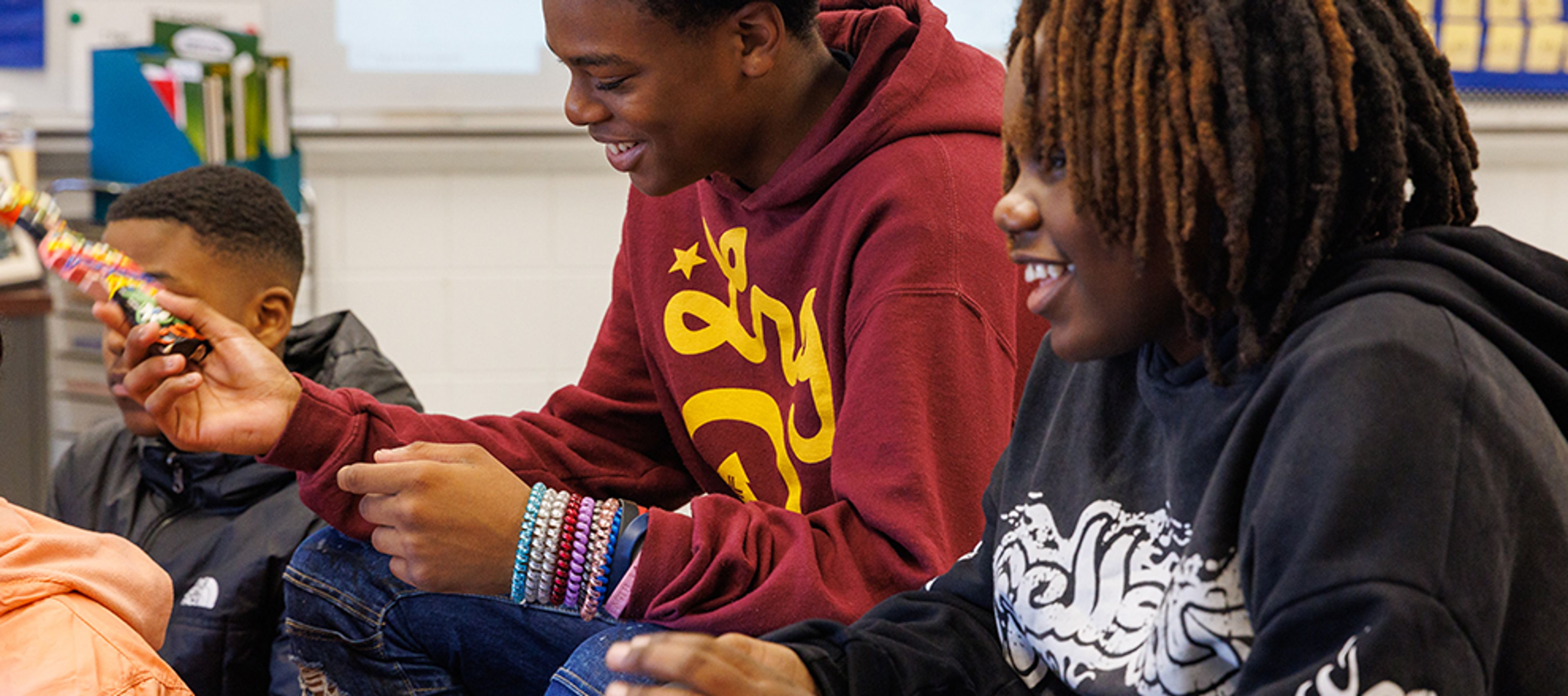 Harmony Advisory Program
