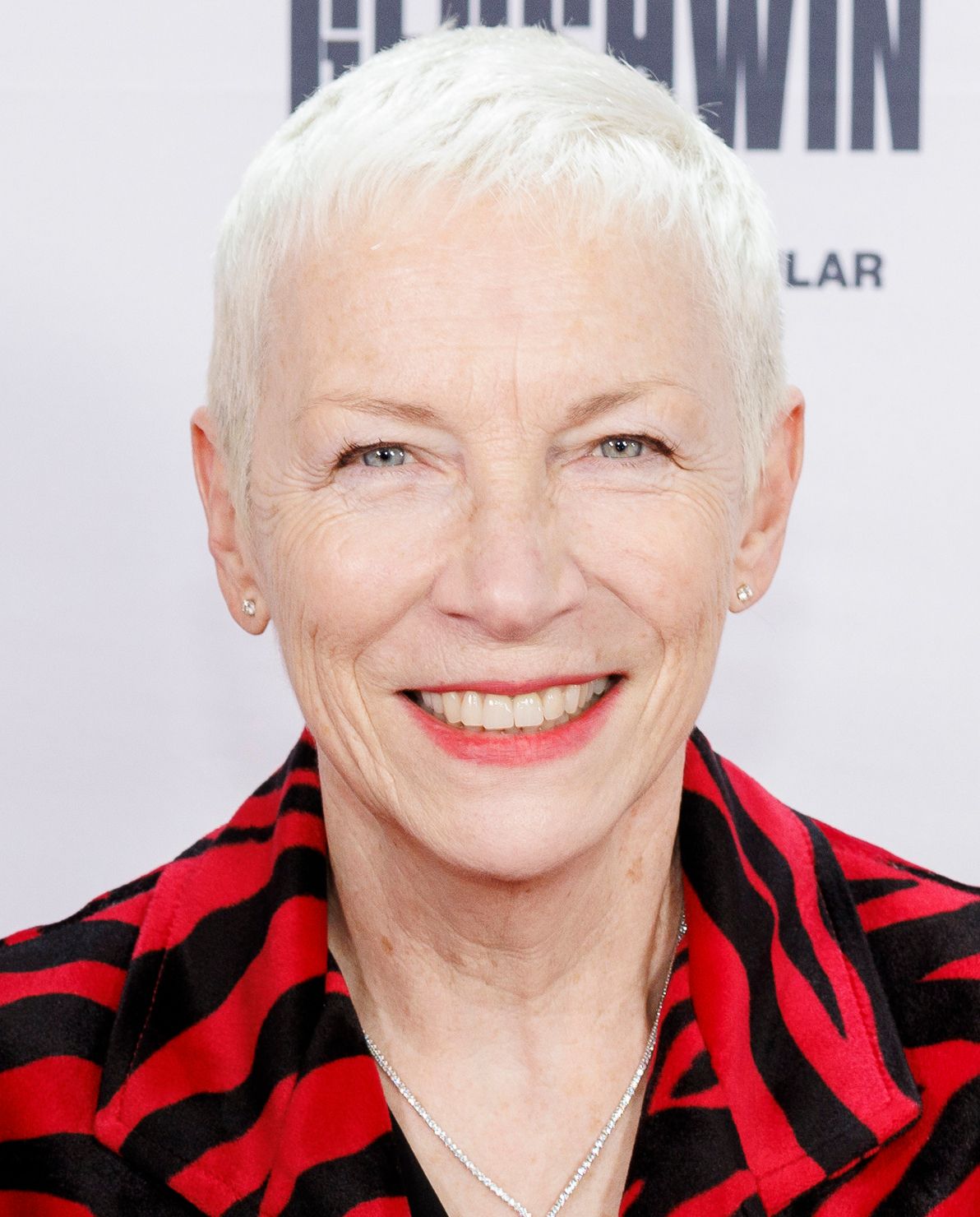 Portrait of singer Annie Lennox