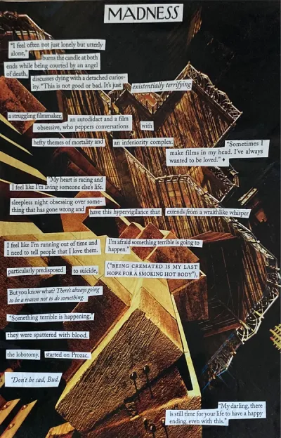 image of the poem: madness