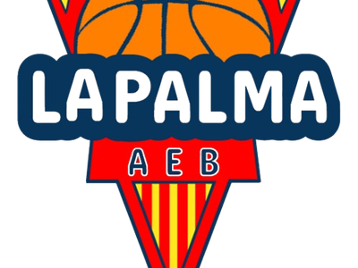 Fotografia del partit contra BÀSQUET PALCAM