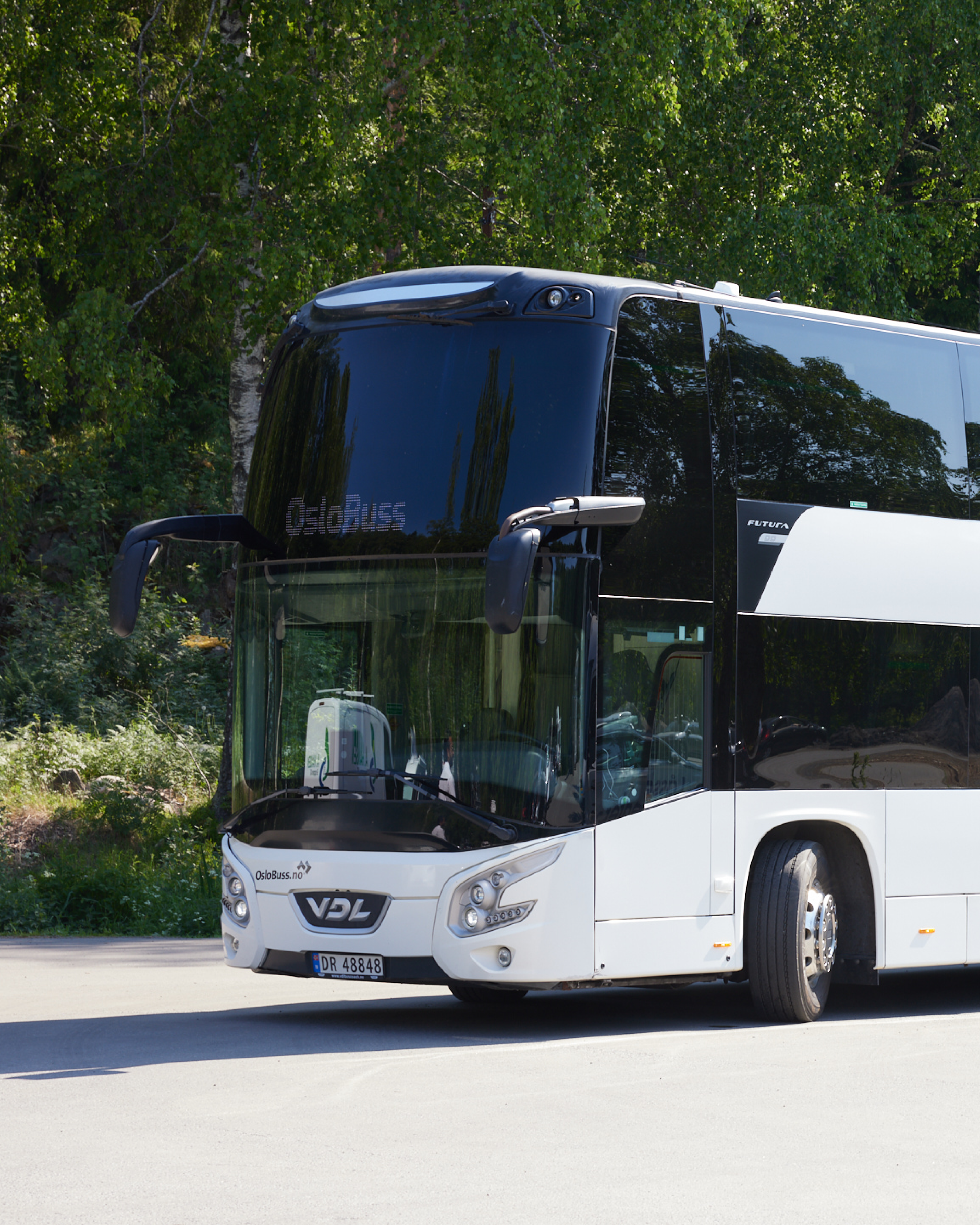Turbuss bilde
