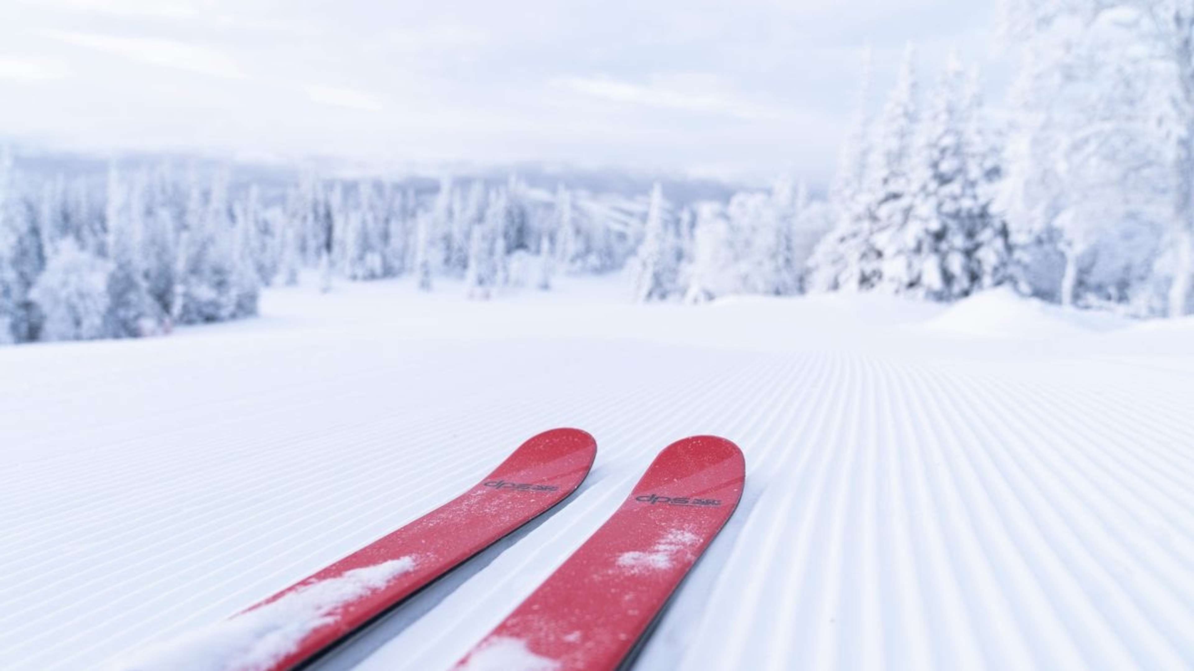 Röda skidor på en nypistad backe med snötäckta granar i bakgrunden