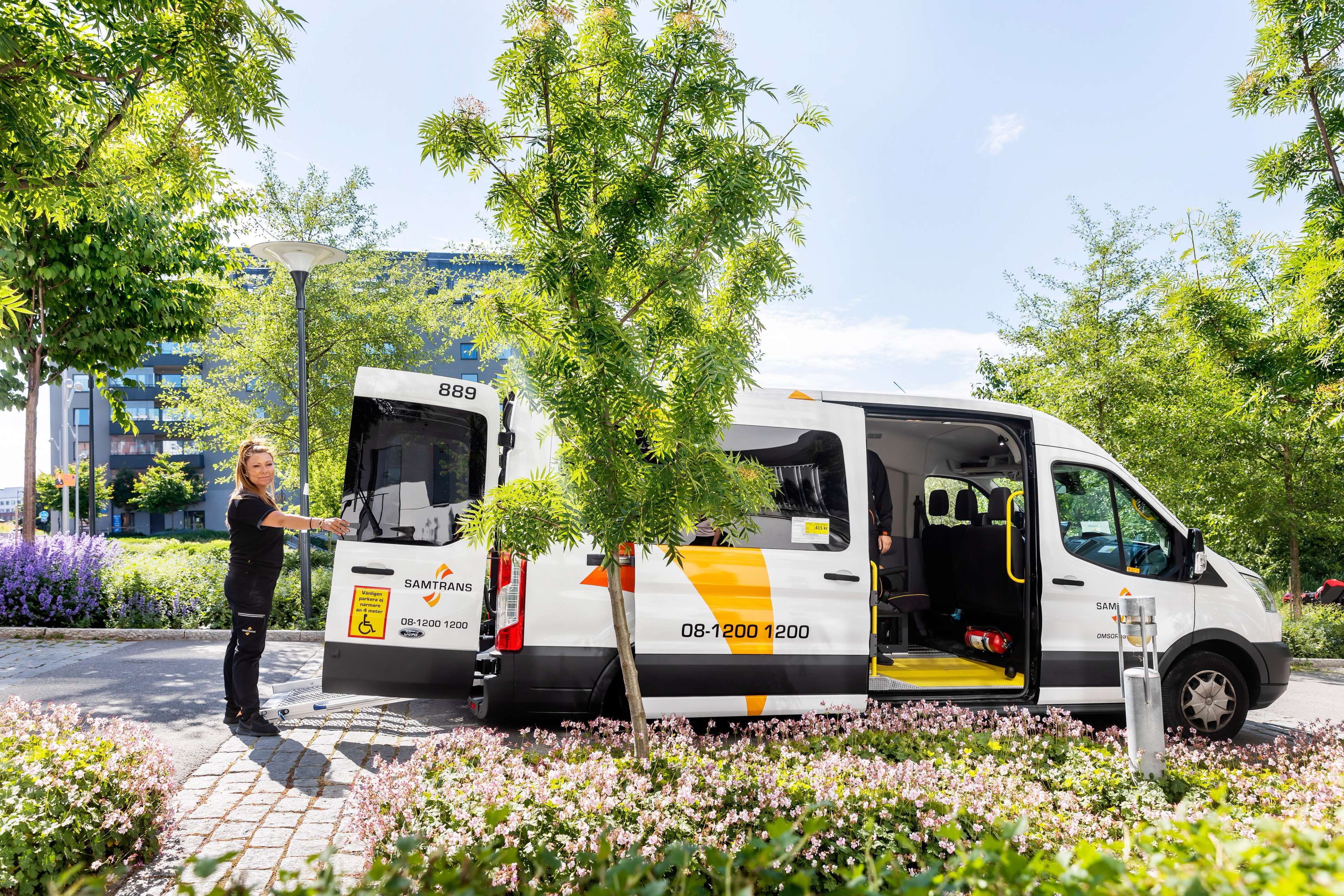 Turbuss bilde