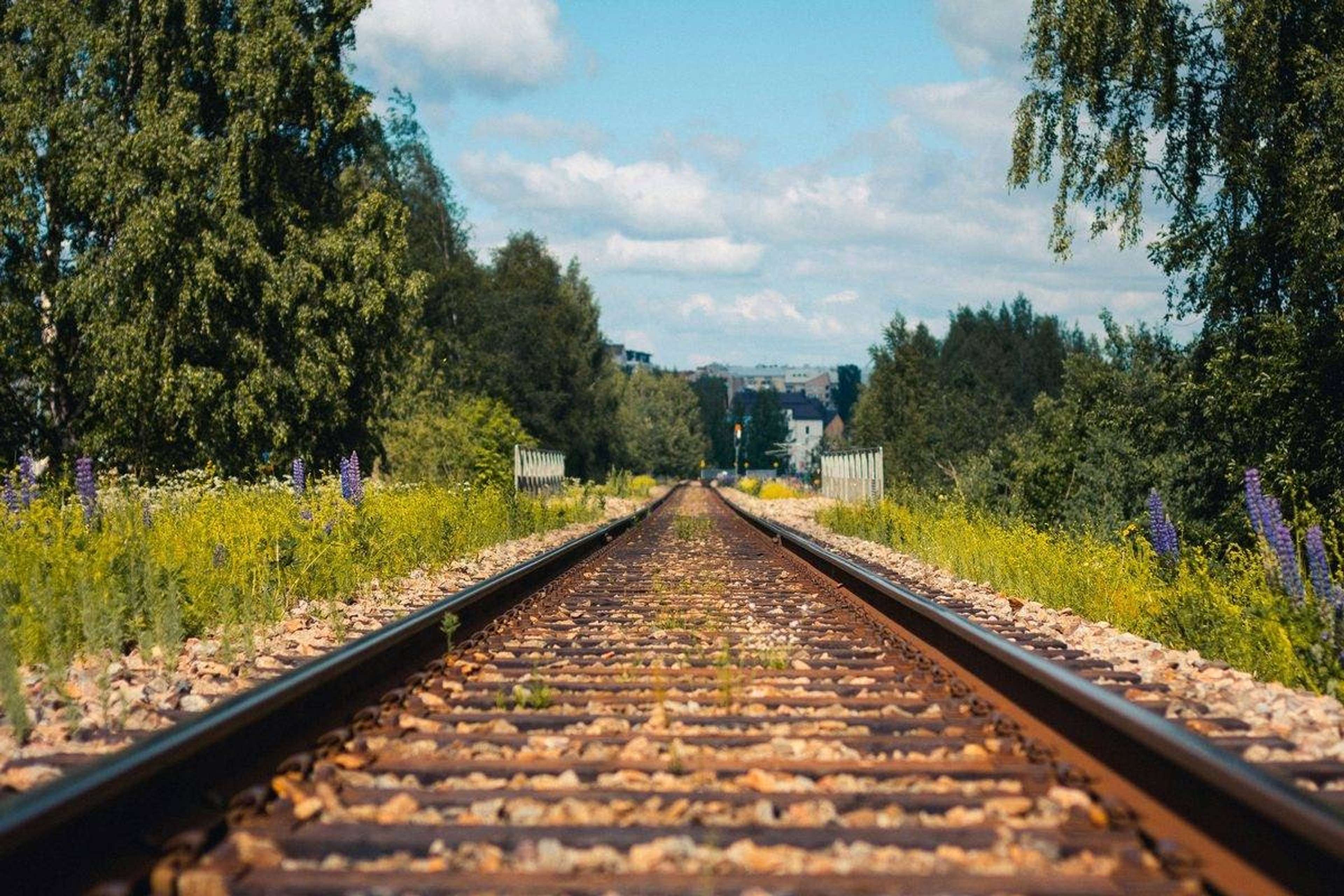 Junarata kulkee suoraan kesäisen vehreän maiseman halki, radan varrella puita ja kukkia