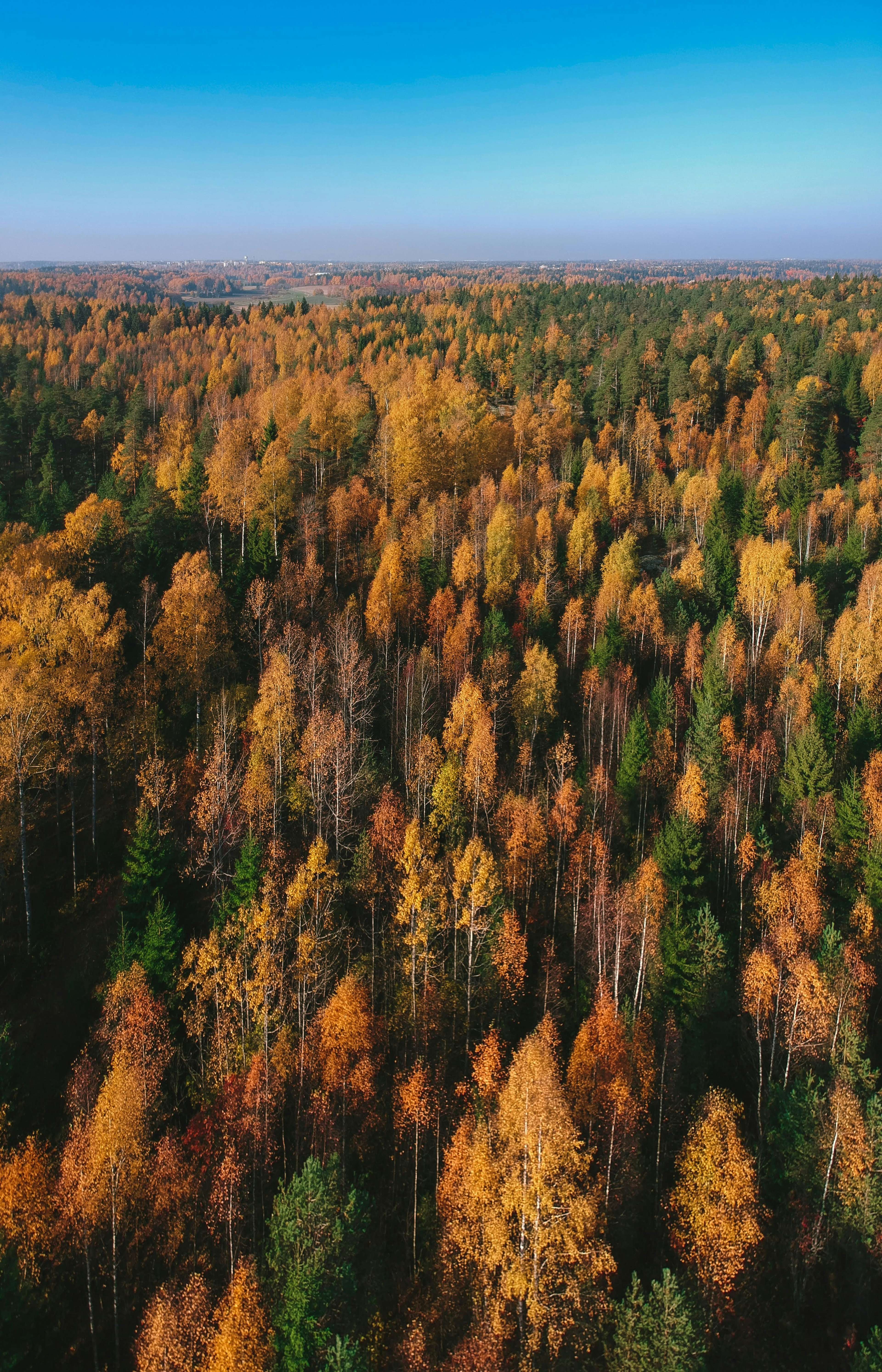 Vantaa