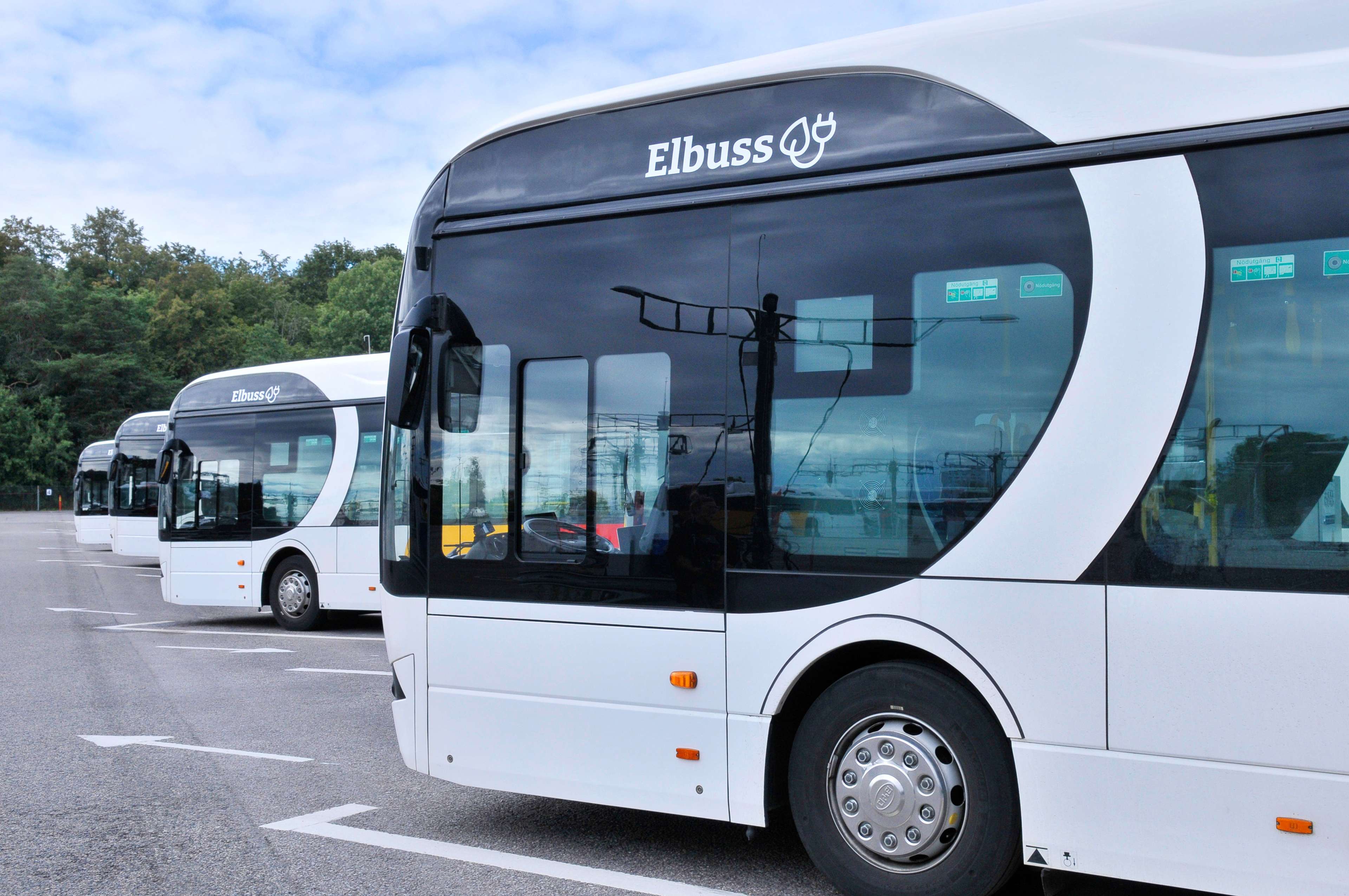 Turbuss bilde