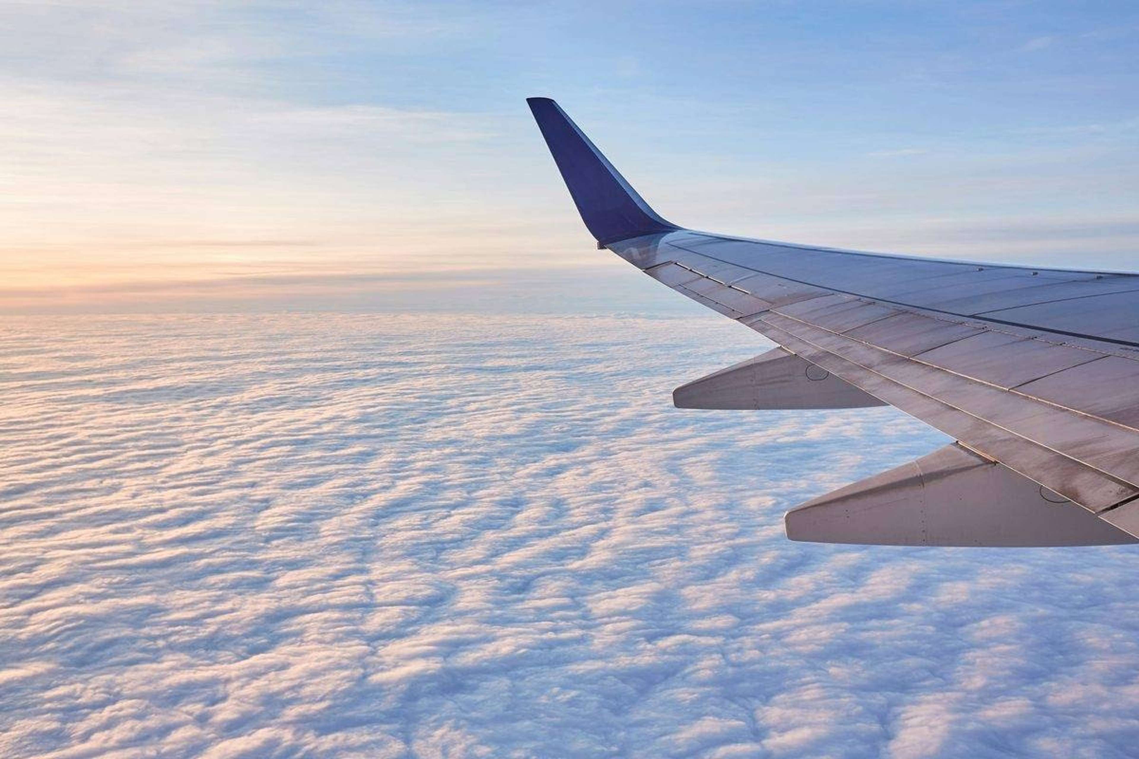 Flyvinge over et skydække i morgenlys