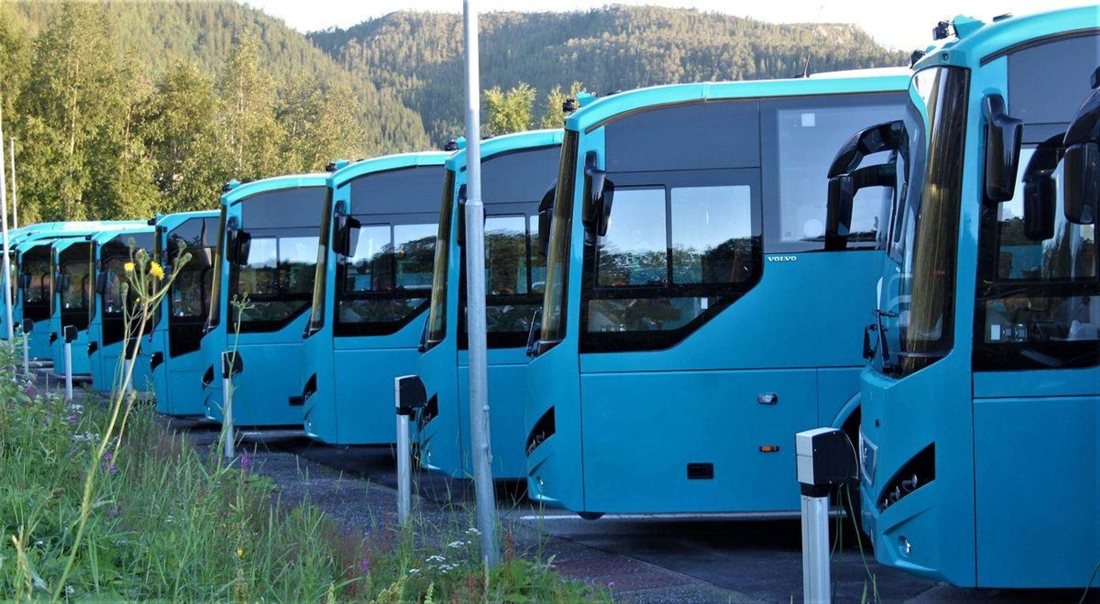 Rad av turkosa turistbussar parkerade på rad med en skogsklädd sluttning bakom