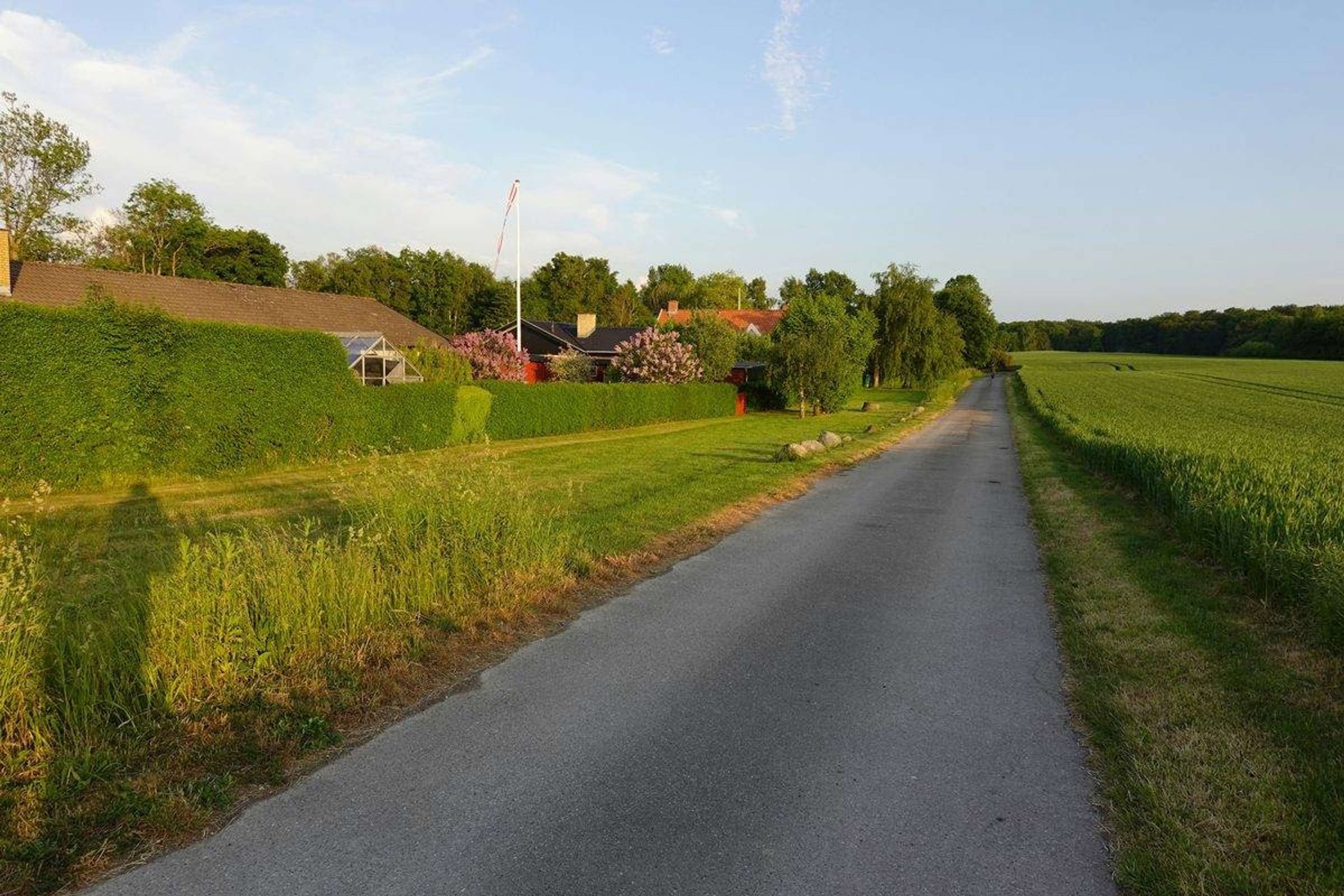 Smal landevej mellem marker og sommerhuse med hække en solrig sommerdag