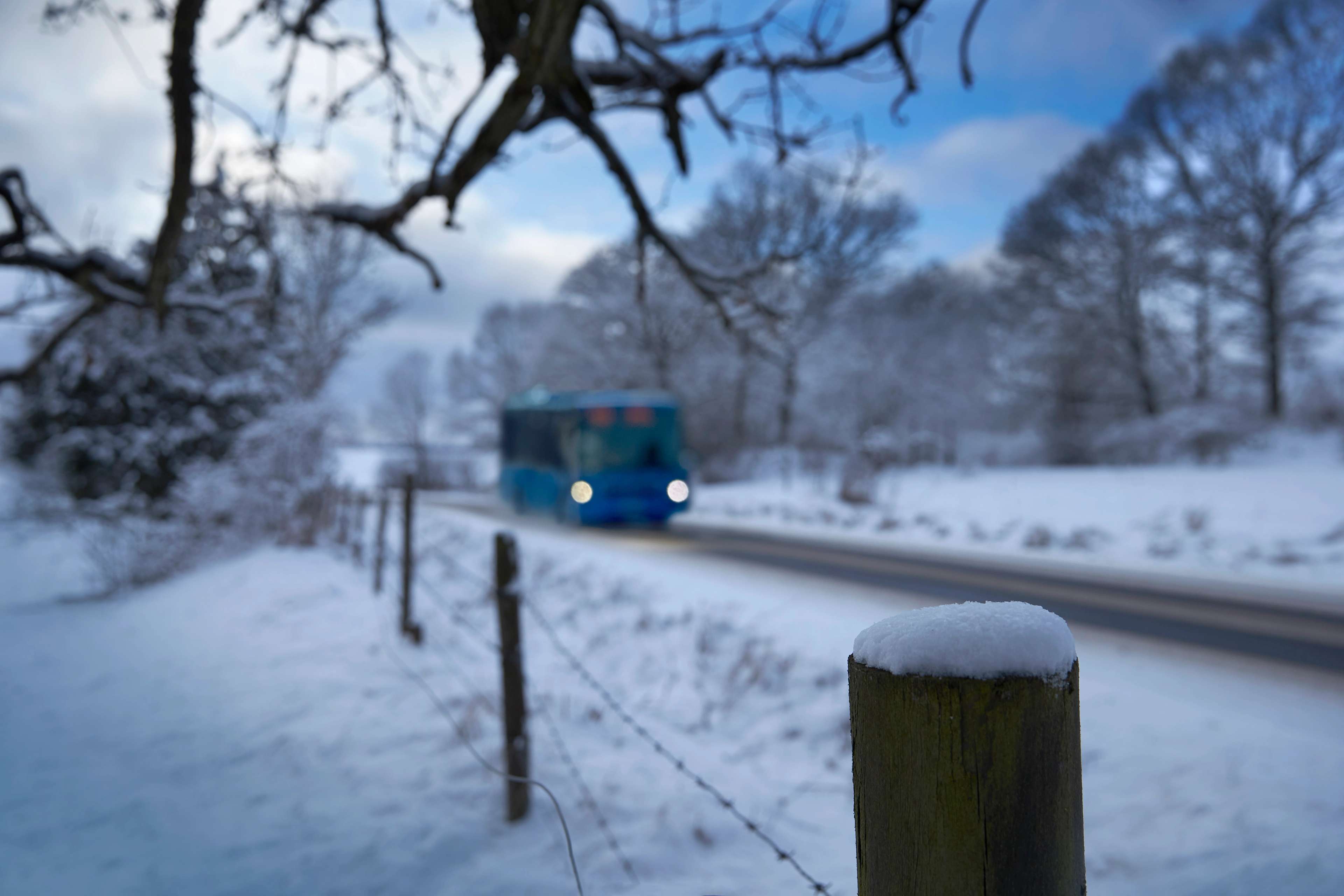 Buss til julebordet