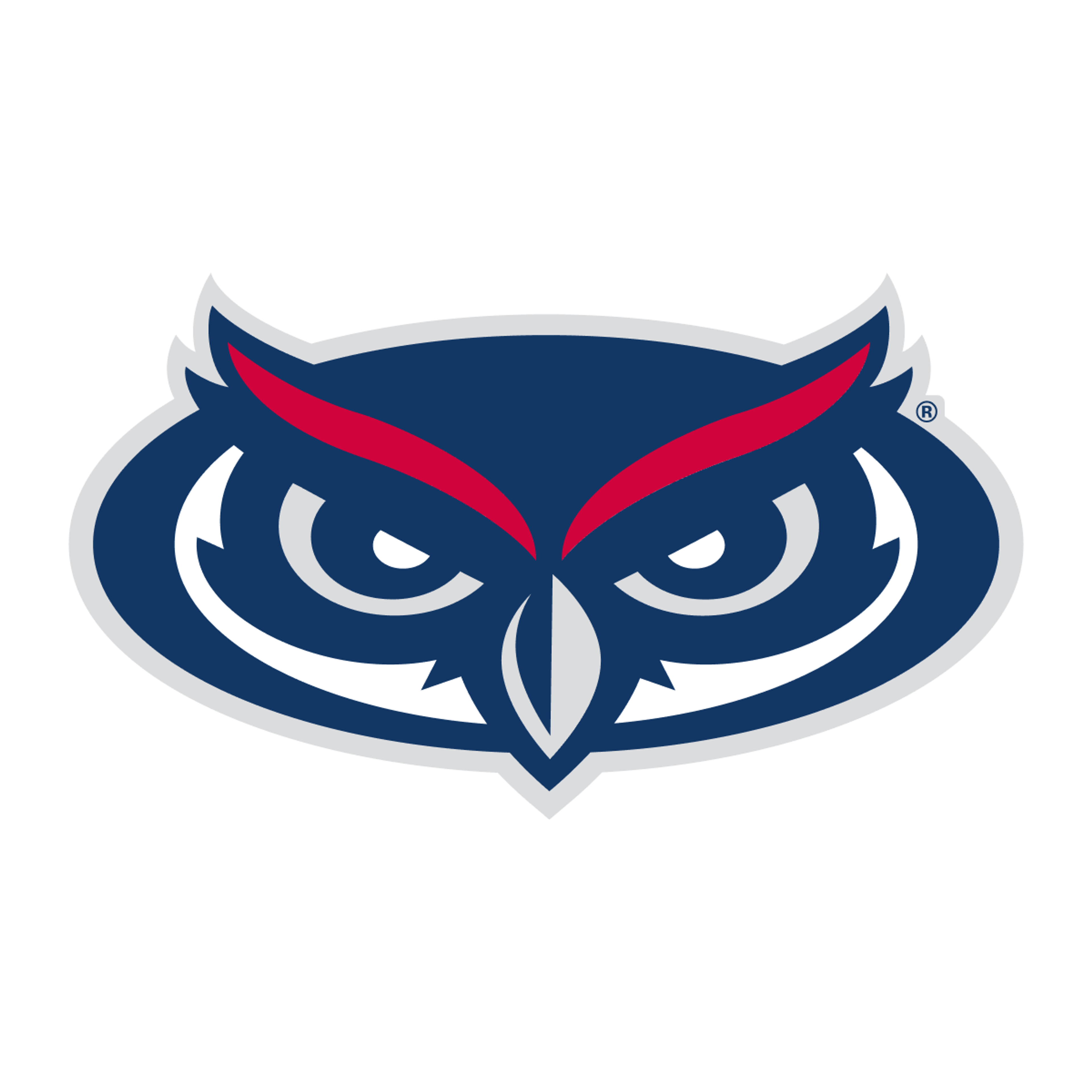 Florida Atlantic University 2023 Handshake Career Spark Award winner