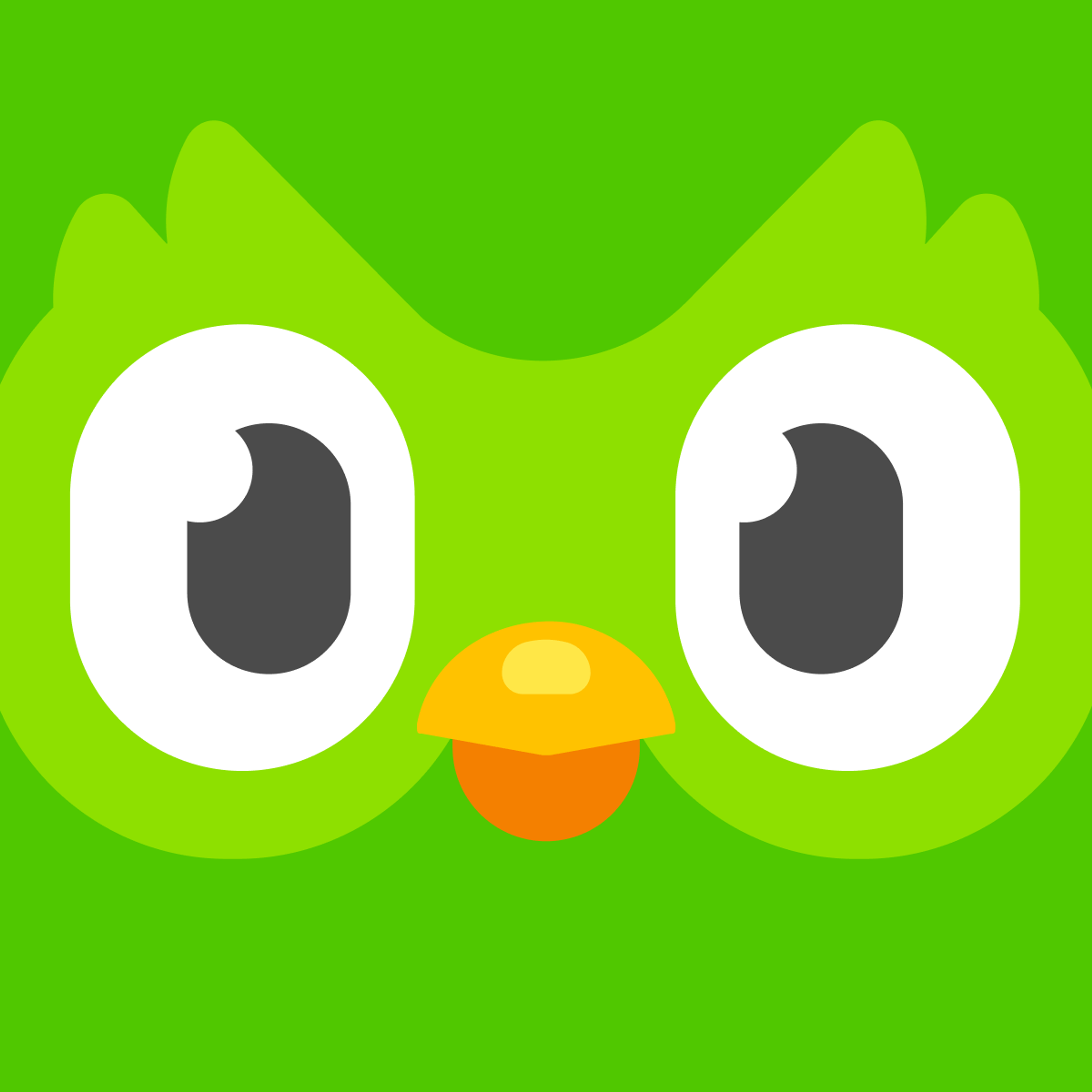 Duolingo logo