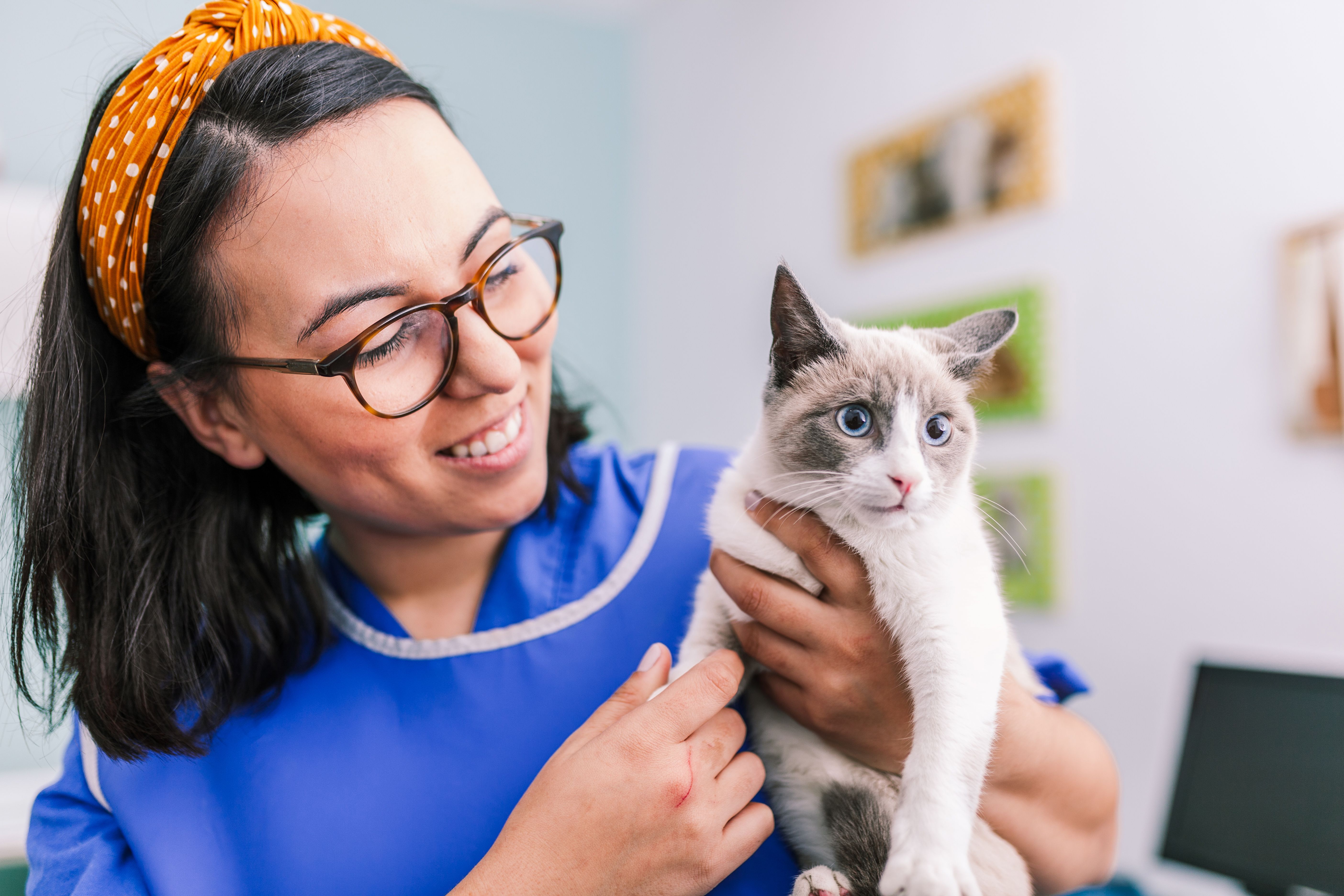 Top 10 vet tech jobs who s hiring Handshake