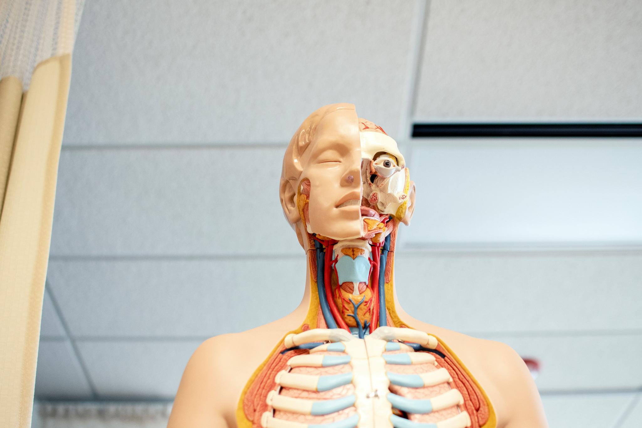 your-guide-to-biology-internships-handshake