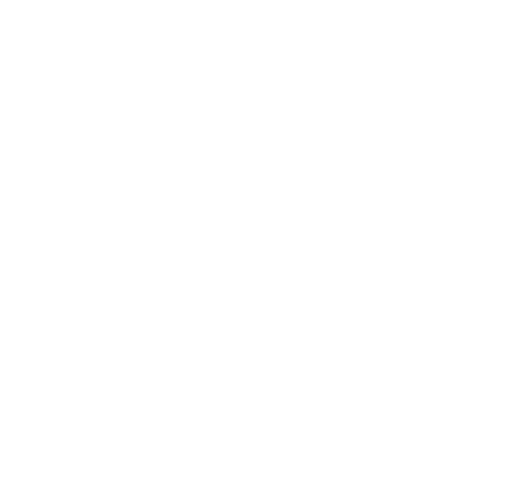 Welsh Government Logo