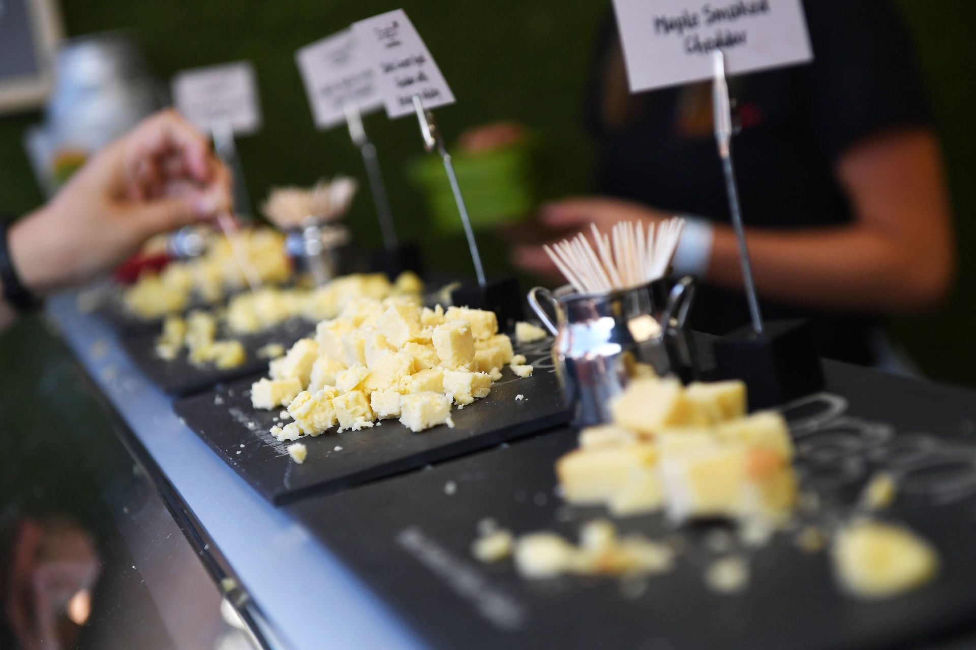 Picture of cheese samples