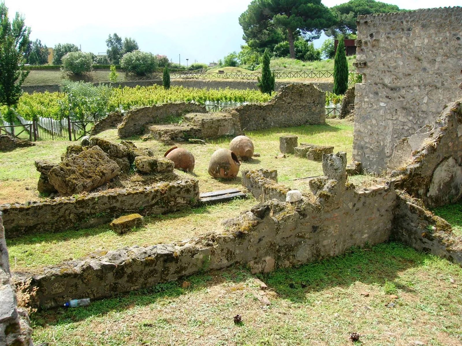 Garden of the Fugitives, Pompeii