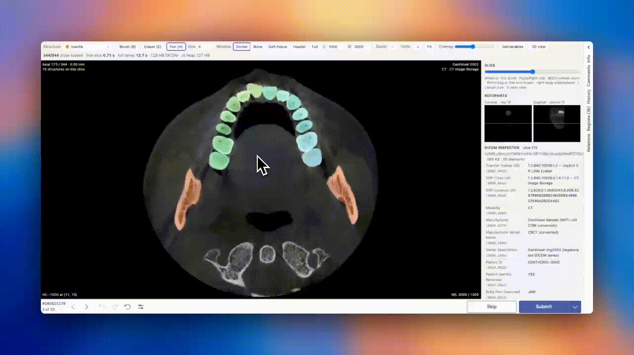 DICOM Medical Image Annotation