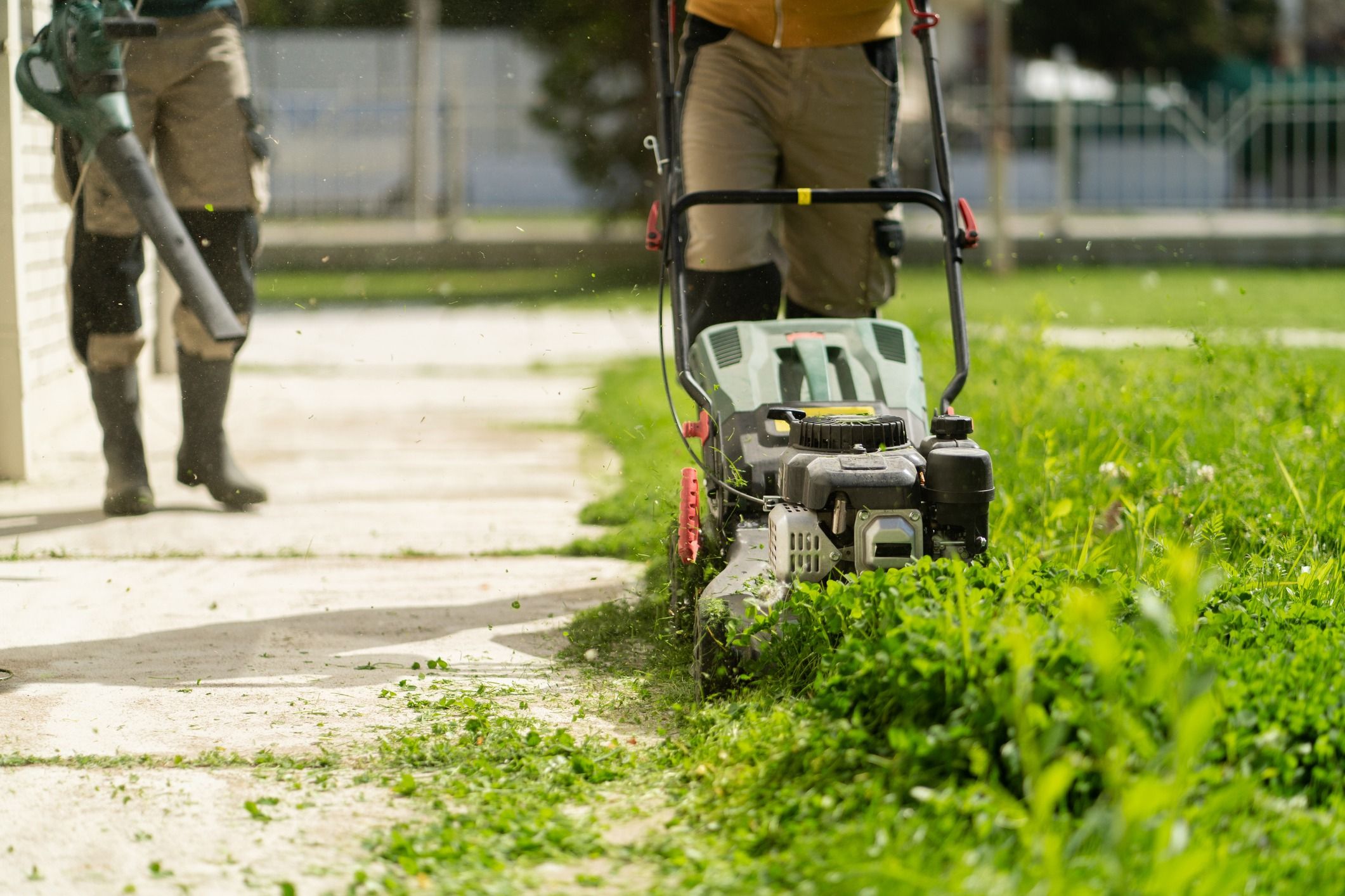 A push mower cuts a clean edge along overgrown clover and grass beside a paved walkway, while a leaf blower clears debris from the path in the background.