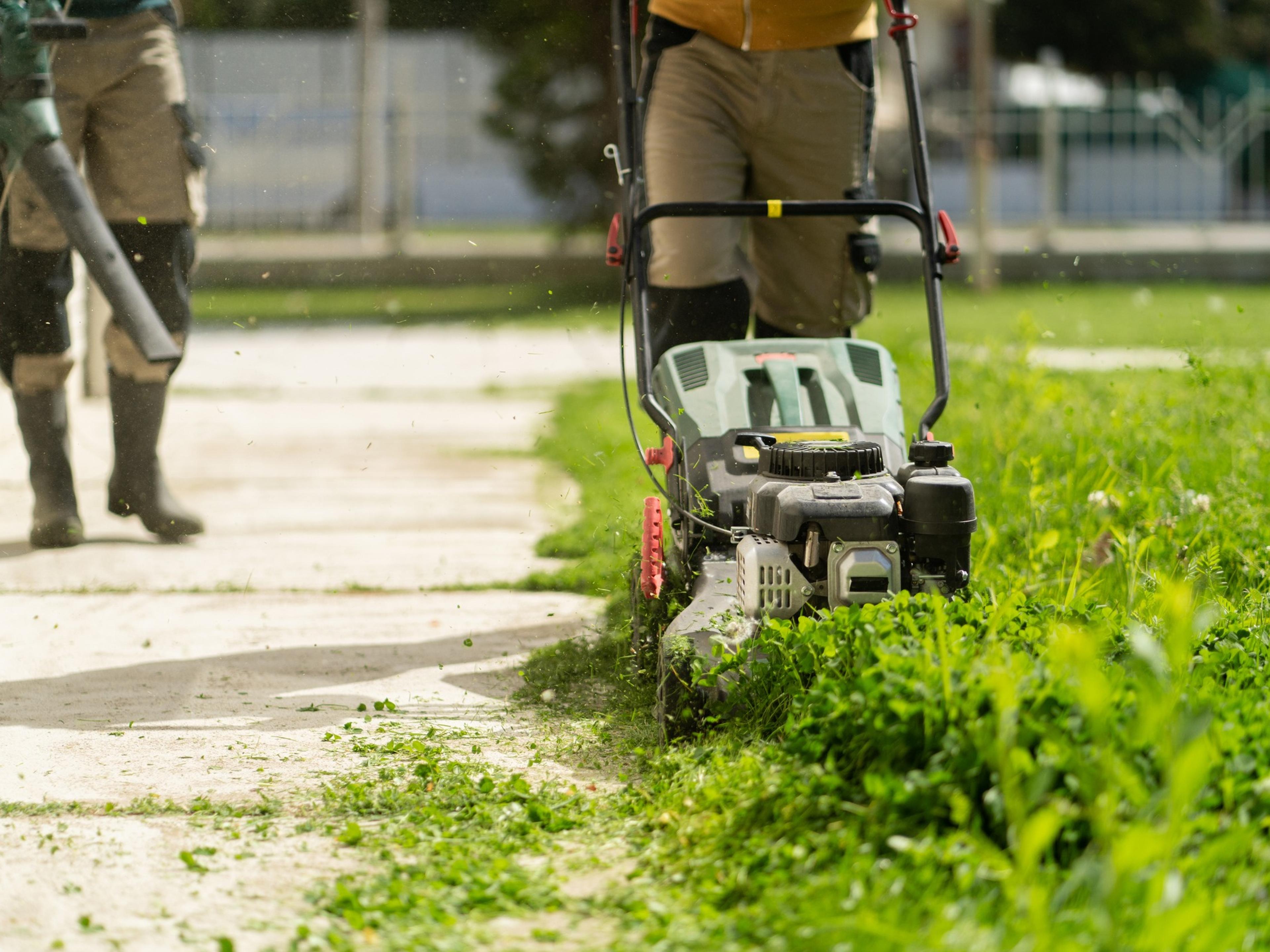 A push mower cuts a clean edge along overgrown clover and grass beside a paved walkway, while a leaf blower clears debris from the path in the background.