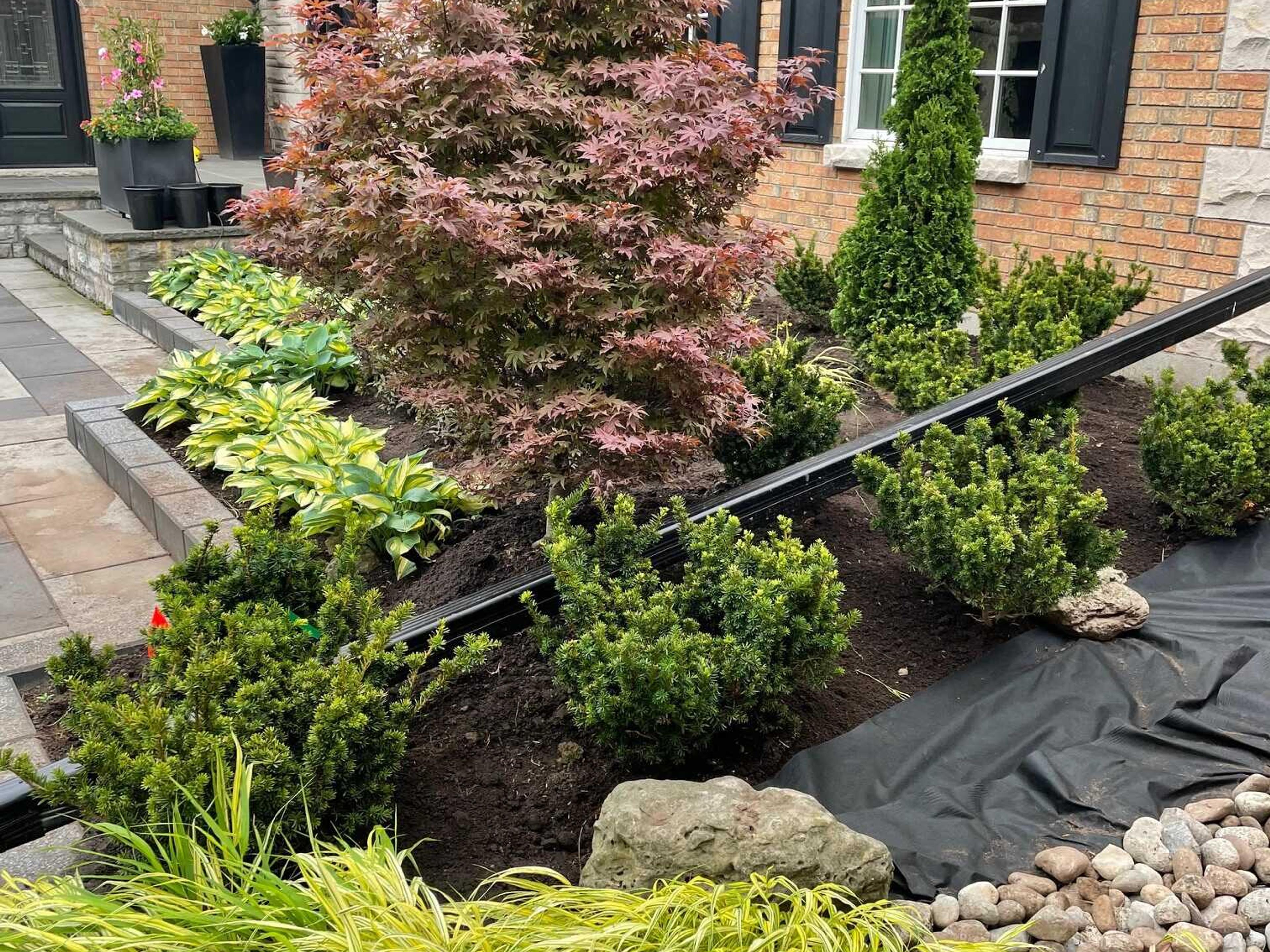 A landscaped garden with a variety of shrubs and foliage is beside a brick house featuring black shutters and a bay window.