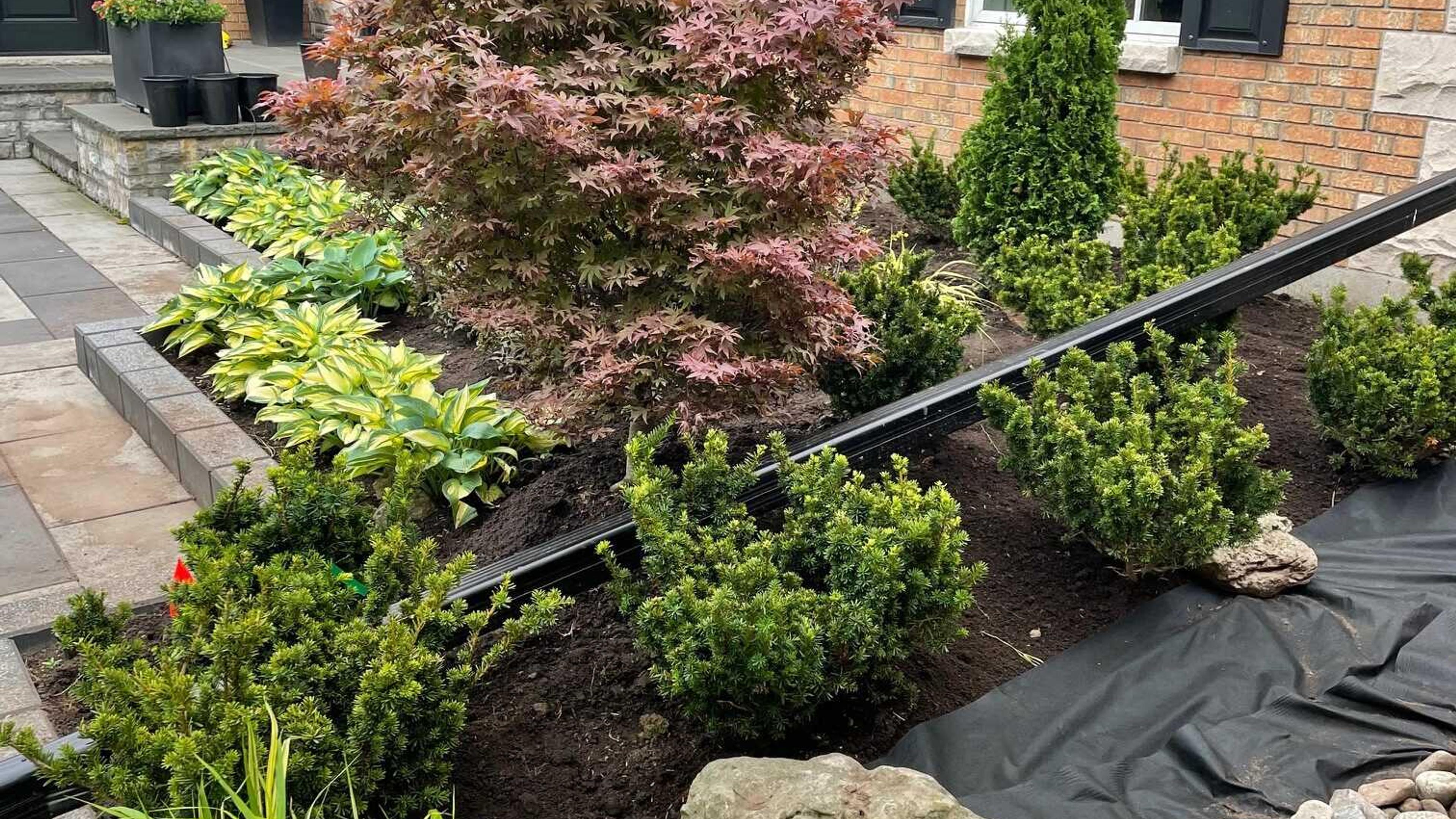 A landscaped garden with a variety of shrubs and foliage is beside a brick house featuring black shutters and a bay window.