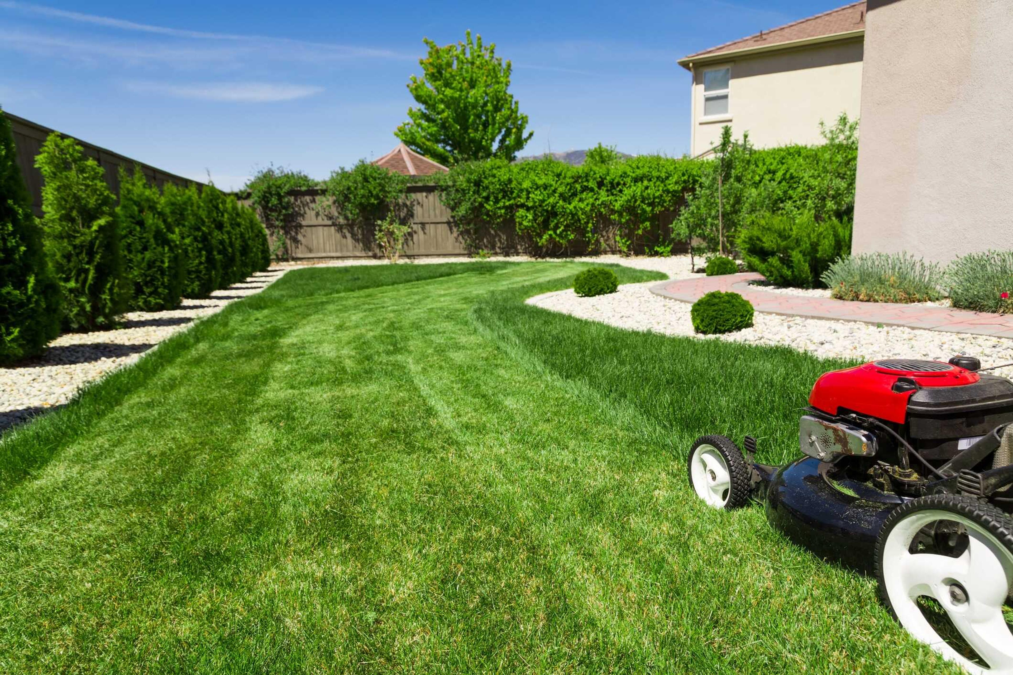 A freshly striped lawn stretches between two rock-mulched garden beds lined with rounded shrubs and columnar hedges, with a push mower left mid-job at the edge.