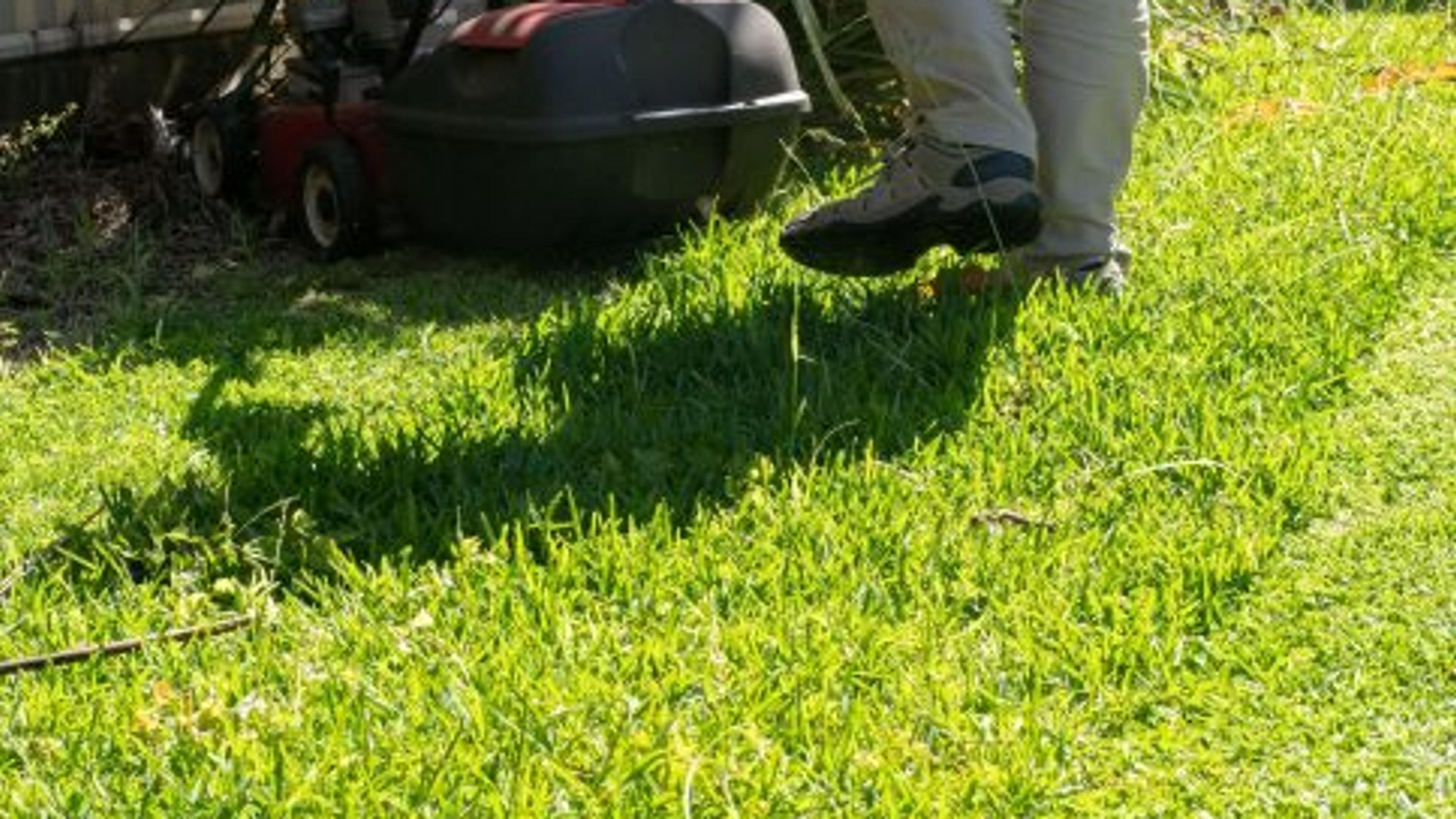 A person mowing lawn with a push mower in a sunny garden, wearing light pants and shoes, next to a metal fence.